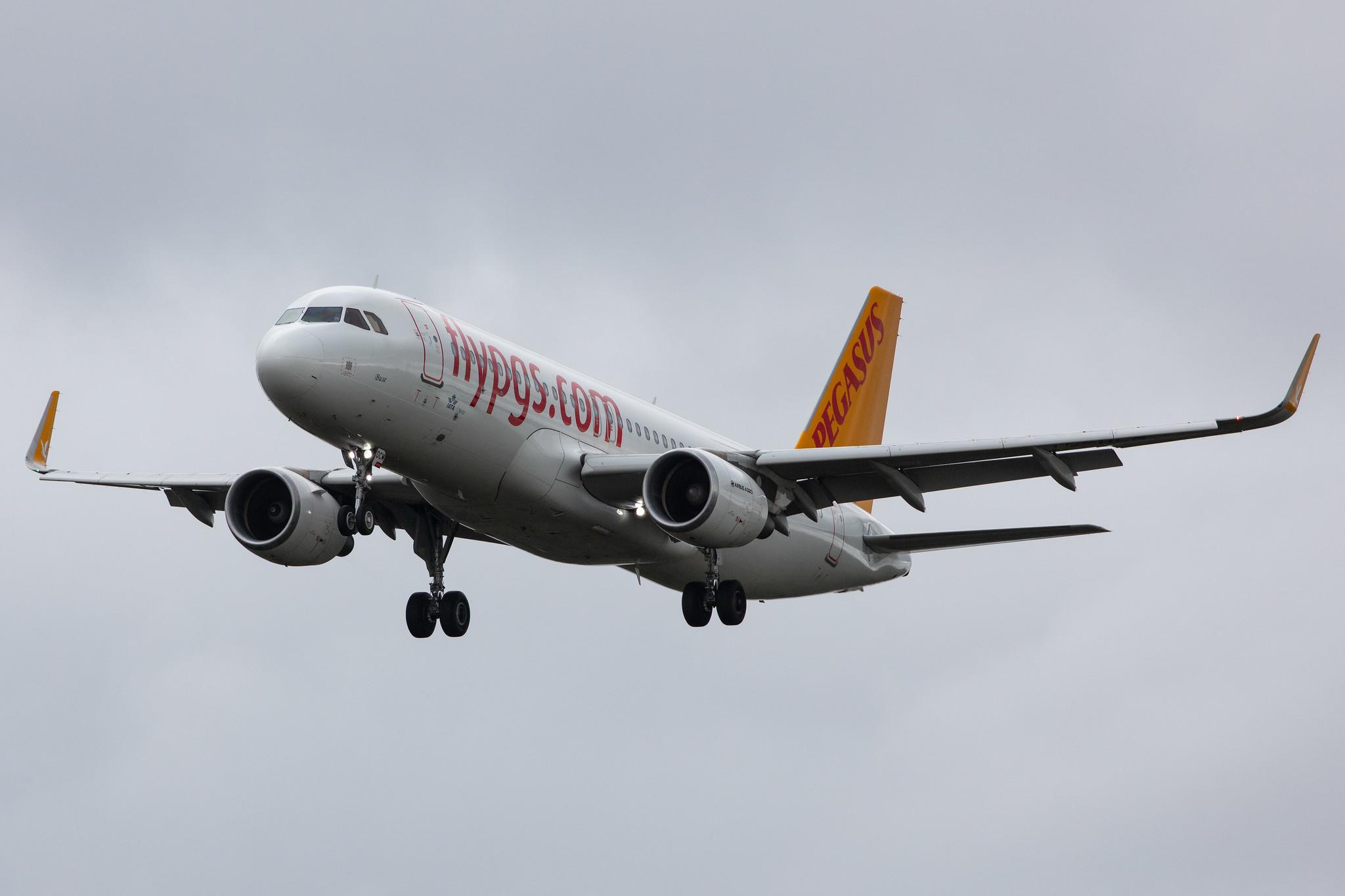 Frankfurt Airport: Pegasus Airlines (PC / PGT) |  Airbus A320-214 A320 | TC-DCM | MSN 7200