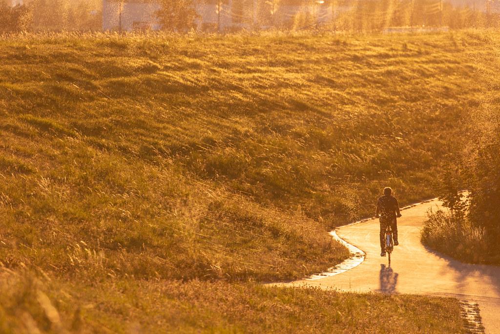 Hamburg Finkenwerder: Sonnenuntergang |