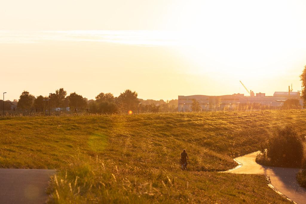 Hamburg Finkenwerder: Sonnenuntergang |