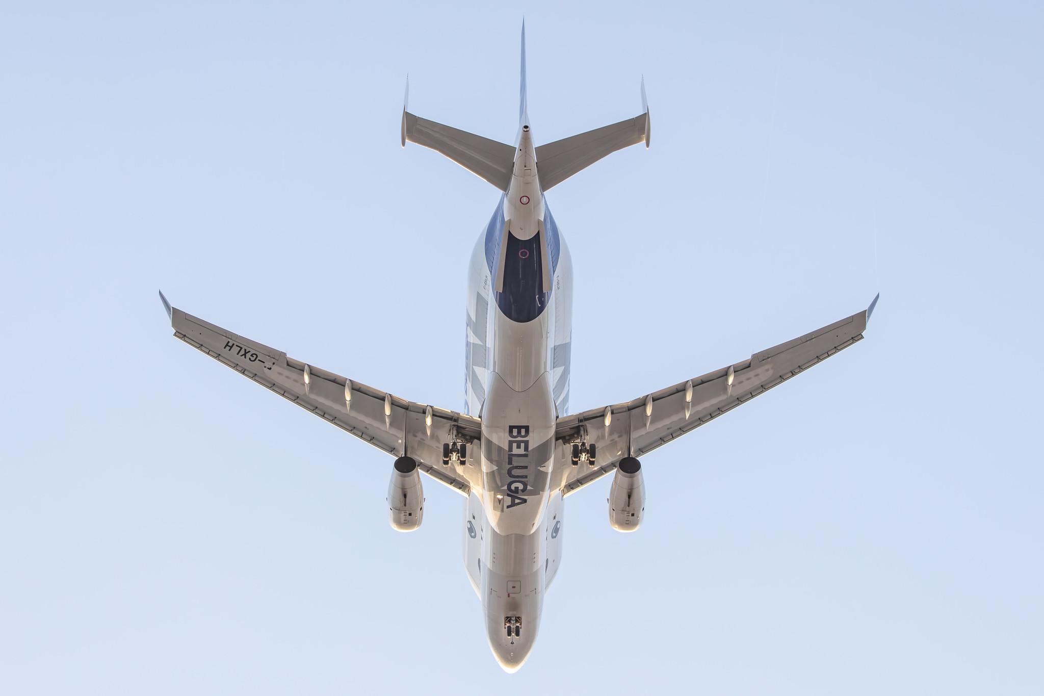 Hamburg Finkenwerder: Airbus Transport International (4Y / BGA) |  Airbus A330-743L Beluga XL A337 | F-GXLH | MSN 1853