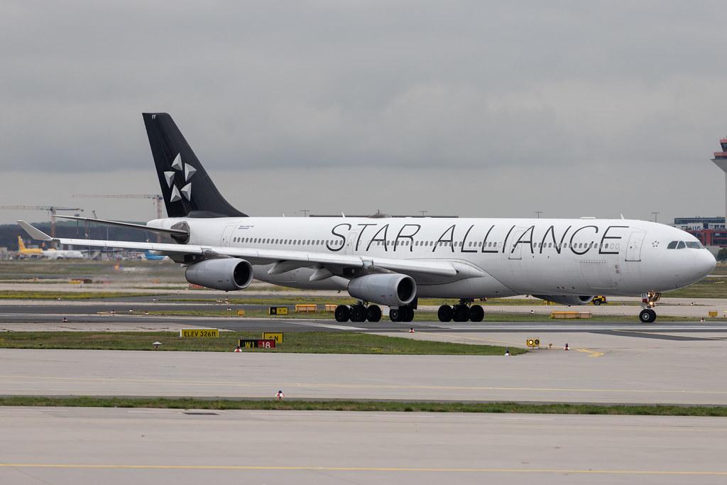 Frankfurt Airport: Lufthansa (LH / DLH) |  Livery: Star Alliance Livery |  Airbus A340-313 A343 | D-AIFF | MSN 0447