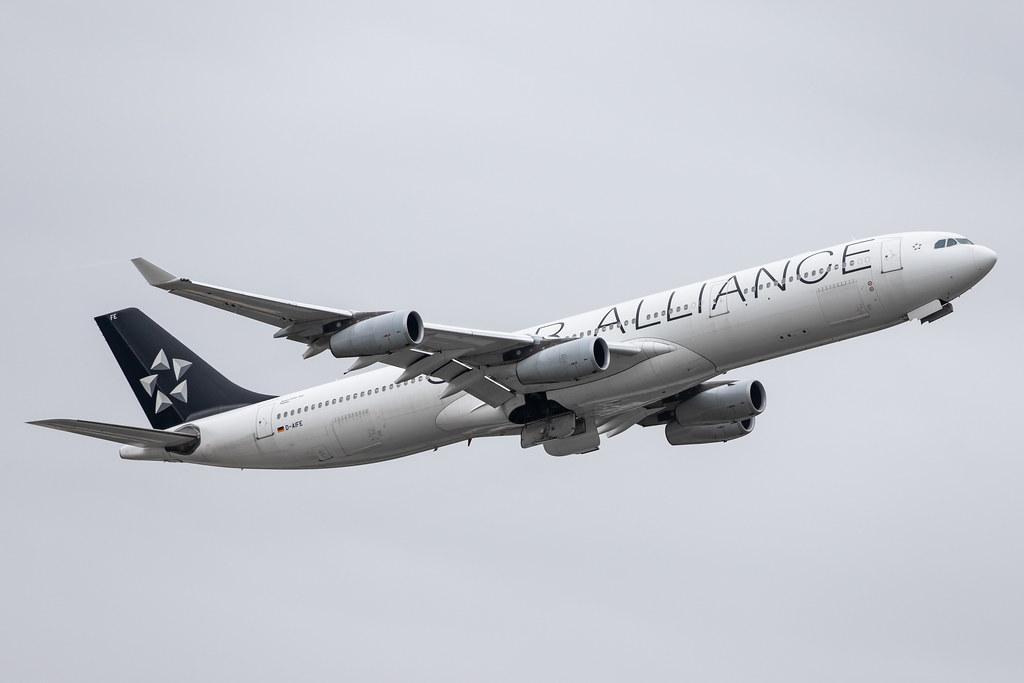 Frankfurt Airport: Lufthansa (LH / DLH) |  Livery: Star Alliance Livery |  Airbus A340-313 A343 | D-AIFE | MSN 0434