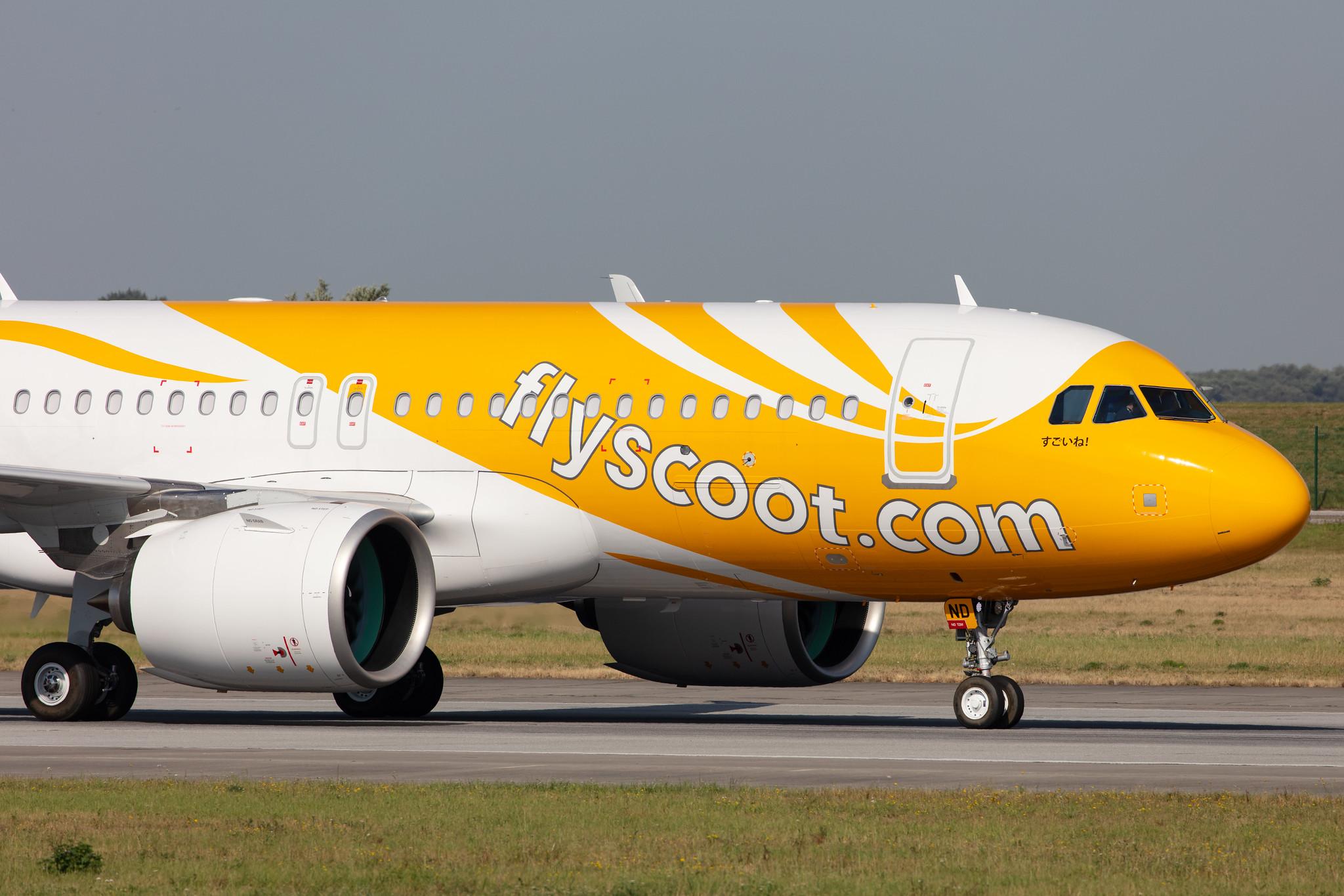 Hamburg Finkenwerder: Scoot (TR / TGW) |  Airbus A320-271N A20N | D-AUAX (9V-TND) | MSN 9414