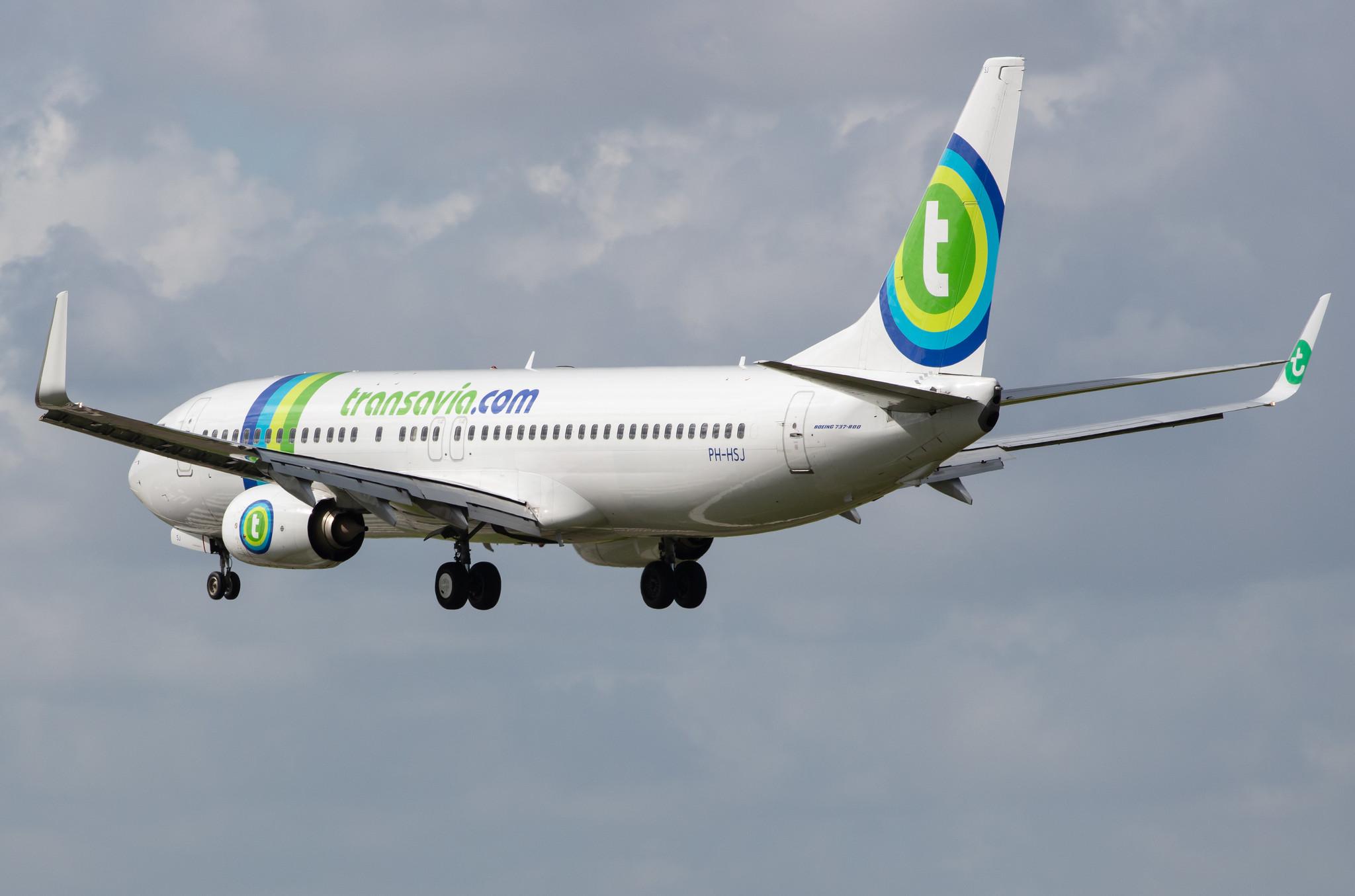 Amsterdam Airport Schiphol: Transavia (HV / TRA) |  Boeing 737-8K2 B738 | PH-HSJ | MSN 42150