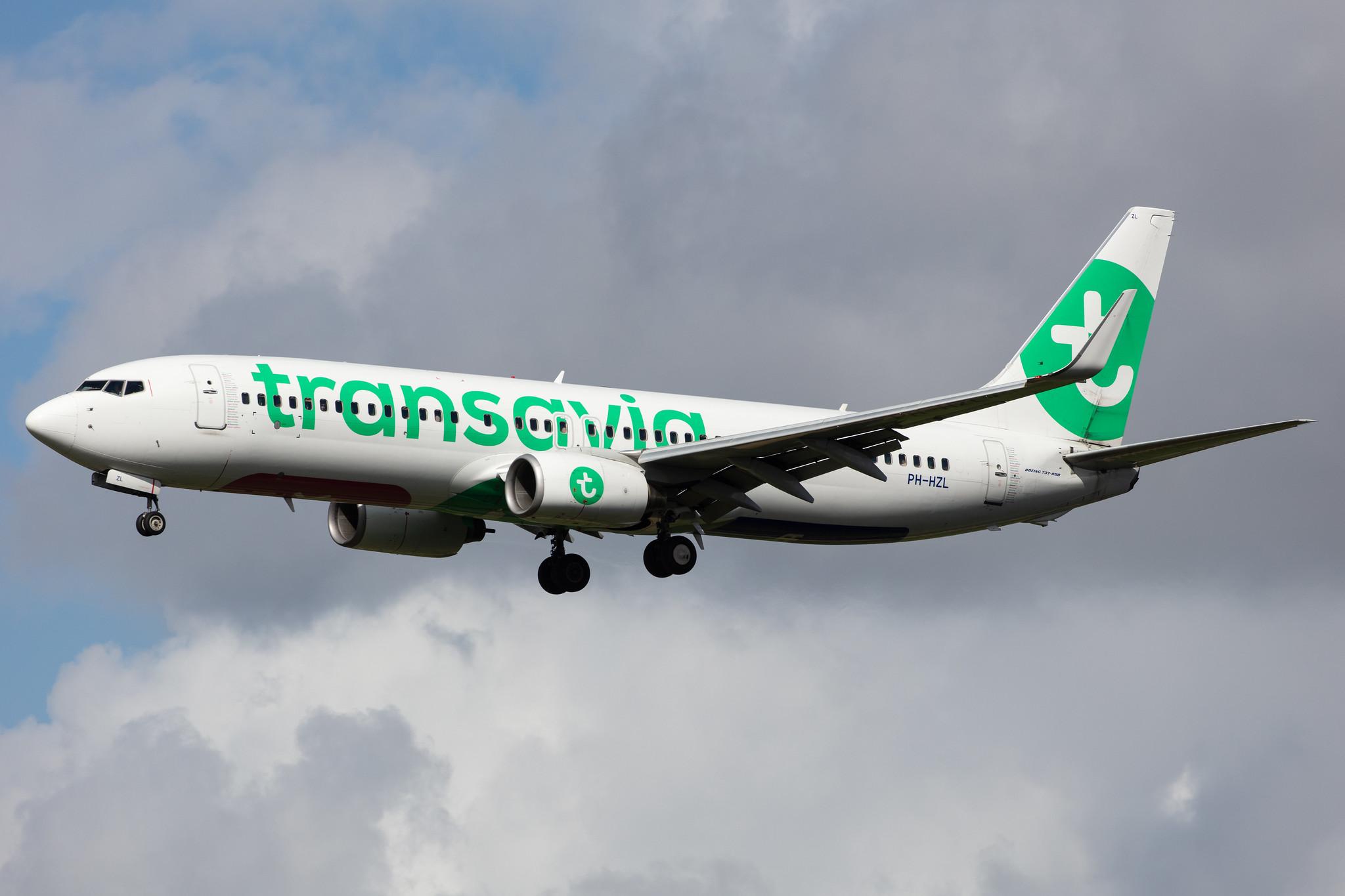 Amsterdam Airport Schiphol: Transavia (HV / TRA) |  Boeing 737-8K2 B738 | PH-HZL | MSN 30391