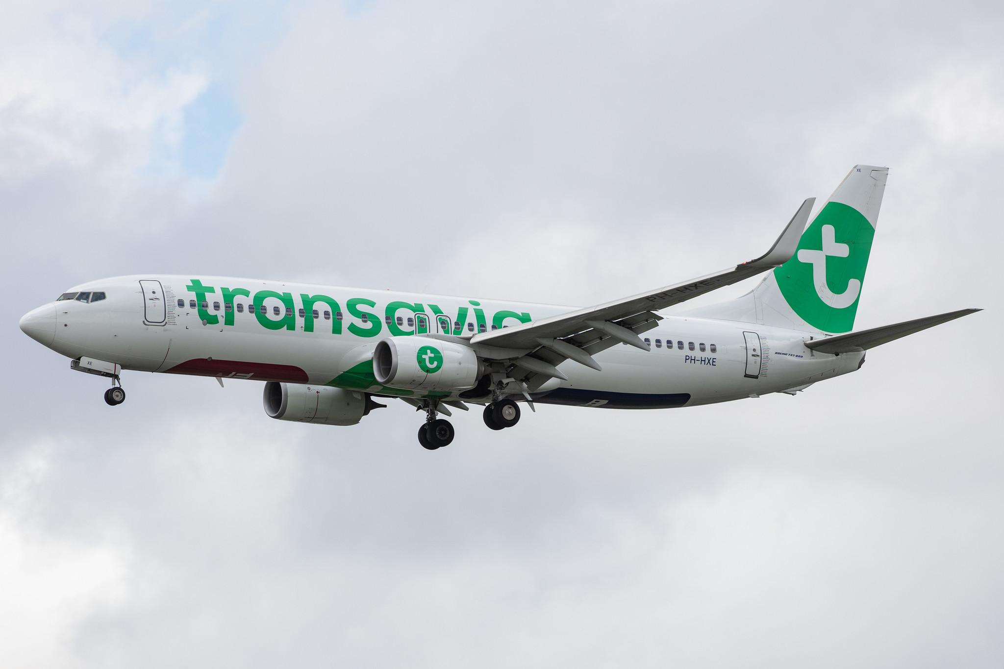 Amsterdam Airport Schiphol: Transavia (HV / TRA) |  Boeing 737-8K2 B738 | PH-HXE | MSN 61790