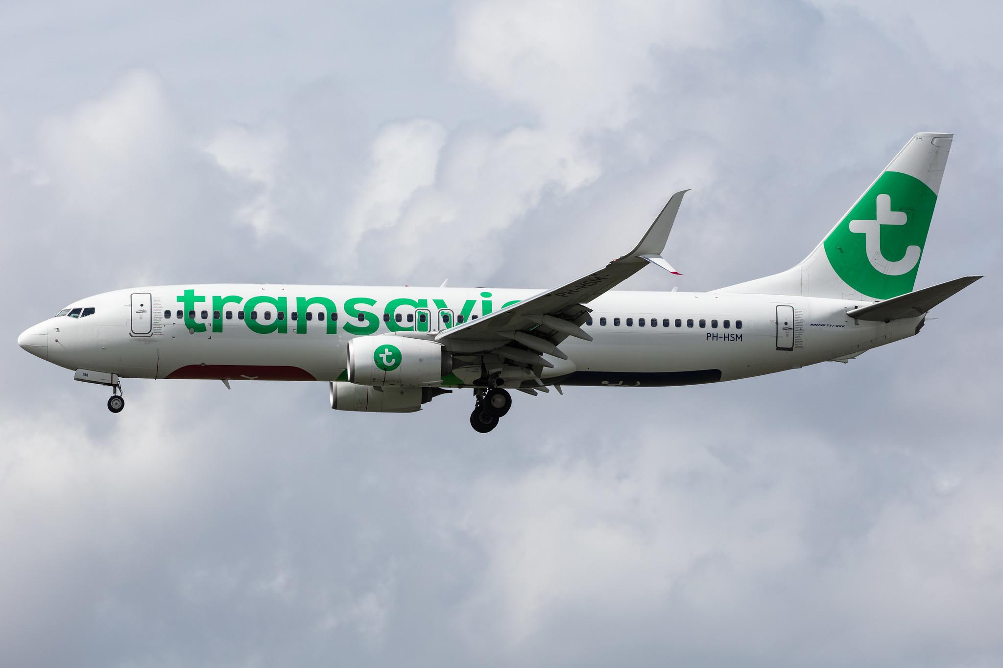 Amsterdam Airport Schiphol: Transavia (HV / TRA) |  Boeing 737-8K2 B738 | PH-HSM | MSN 42067