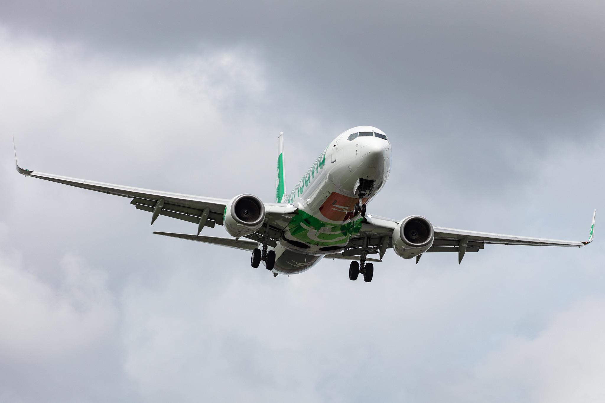 Amsterdam Airport Schiphol: Transavia (HV / TRA) |  Boeing 737-8K2 B738 | PH-HZN | MSN 32943