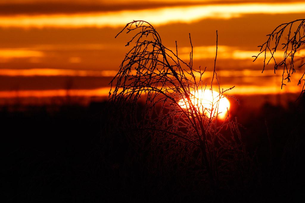 Hamburg Airport: Sonnenaufgang |