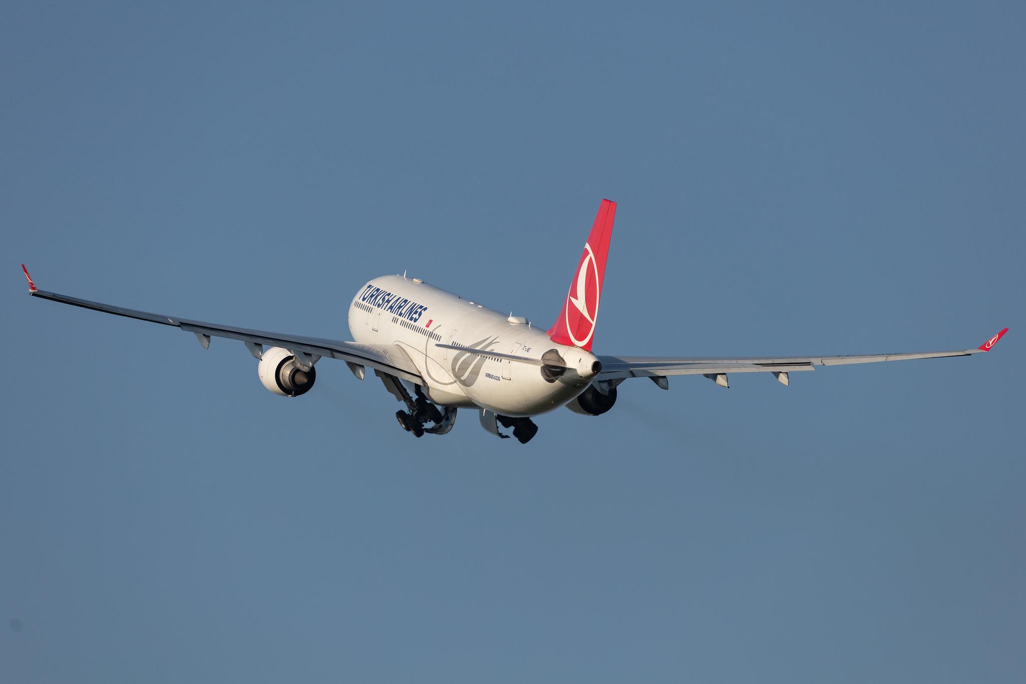 Amsterdam Schiphol: Turkish Airlines (TK / THY) |  Airbus A330-203 A332 | TC-JNE | MSN 0774
