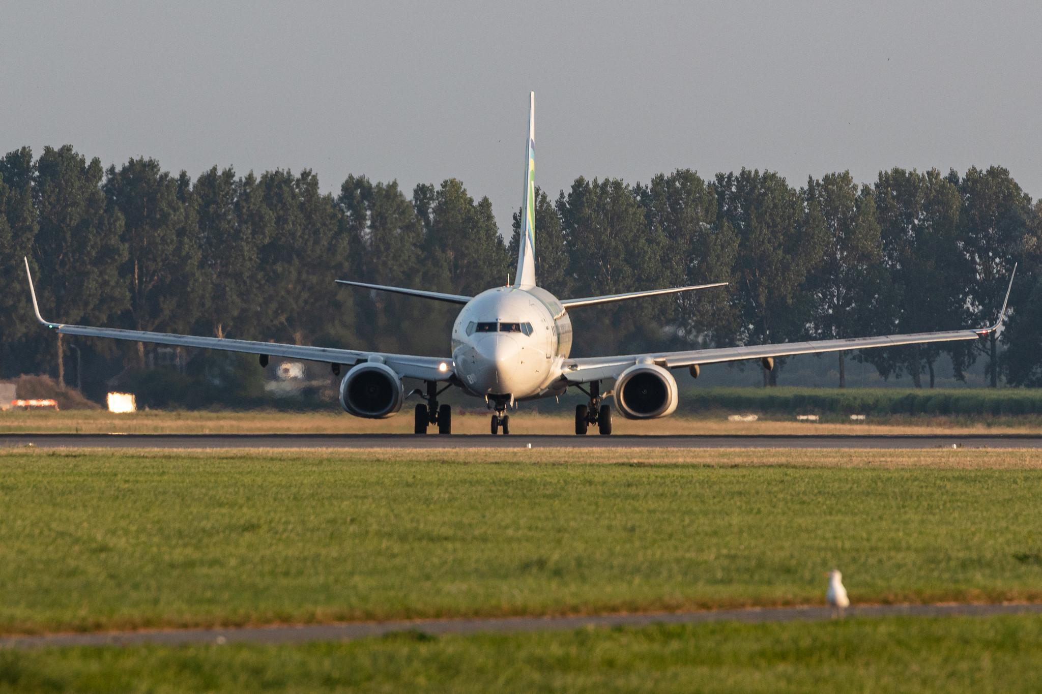 Amsterdam Schiphol: Transavia (HV / TRA) |  Boeing 737-7K2 B737 | PH-XRY | MSN 33463