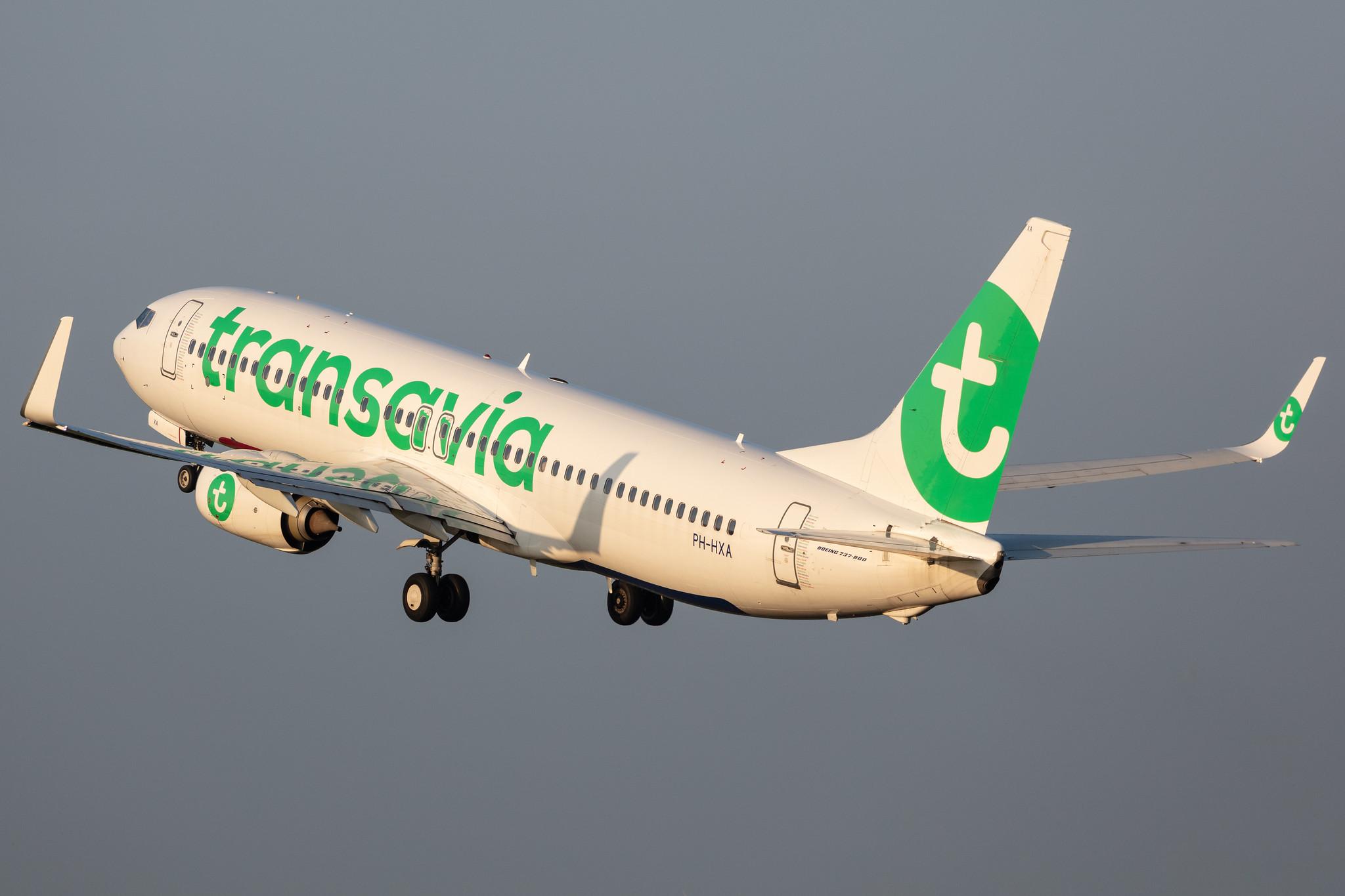 Amsterdam Schiphol: Transavia (HV / TRA) |  Boeing 737-8K2 B738 | PH-HXA | MSN 62149
