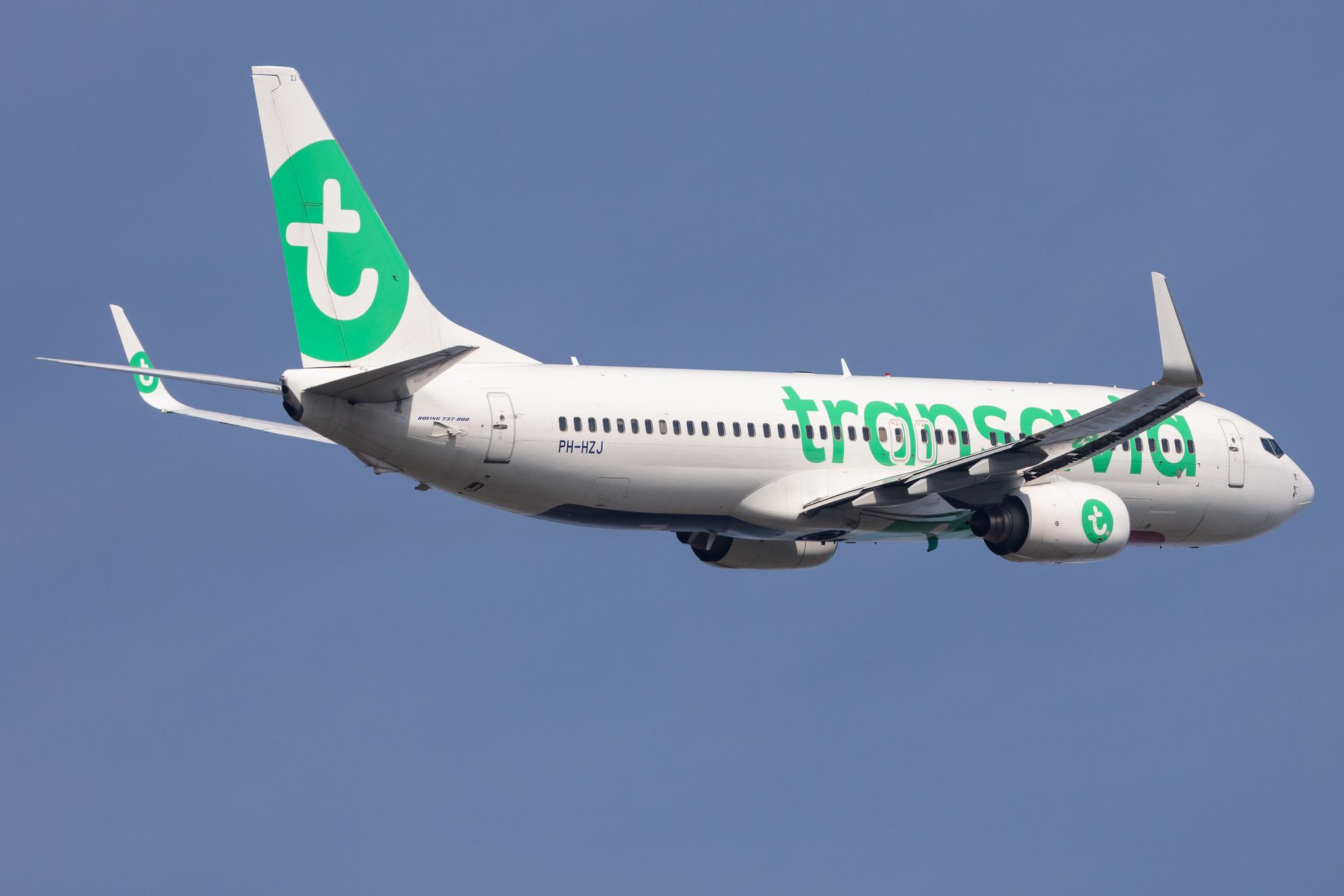 Amsterdam Schiphol: Transavia (HV / TRA) |  Boeing 737-8K2 B738 | PH-HZJ | MSN 30389