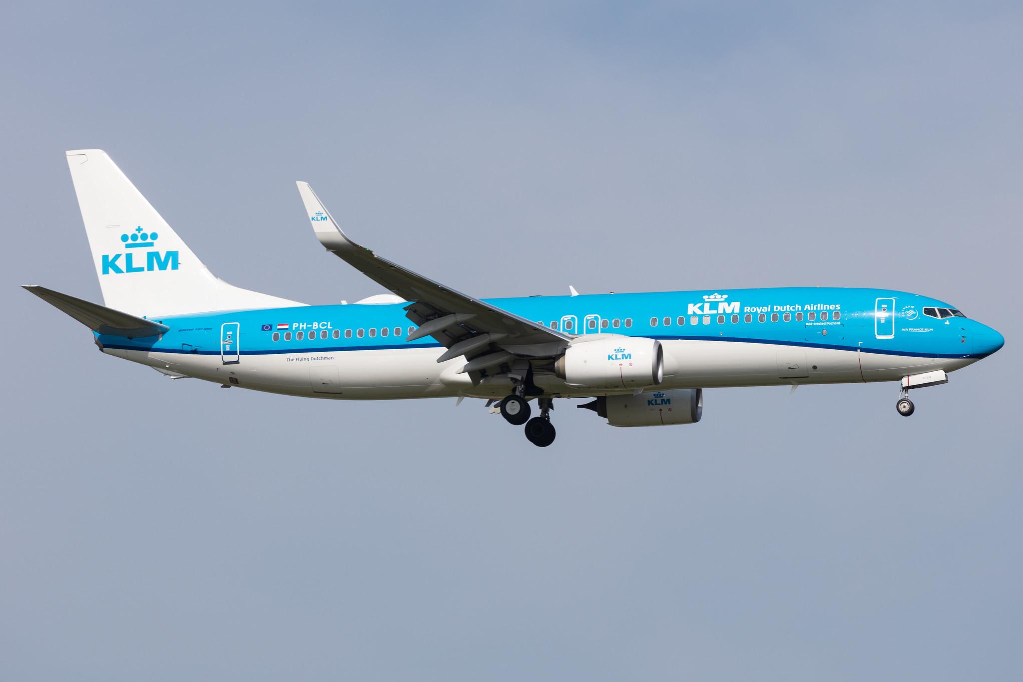 Amsterdam Schiphol: KLM (KL / KLM) |  Boeing 737-8K2 B738 | PH-BCL | MSN 63624