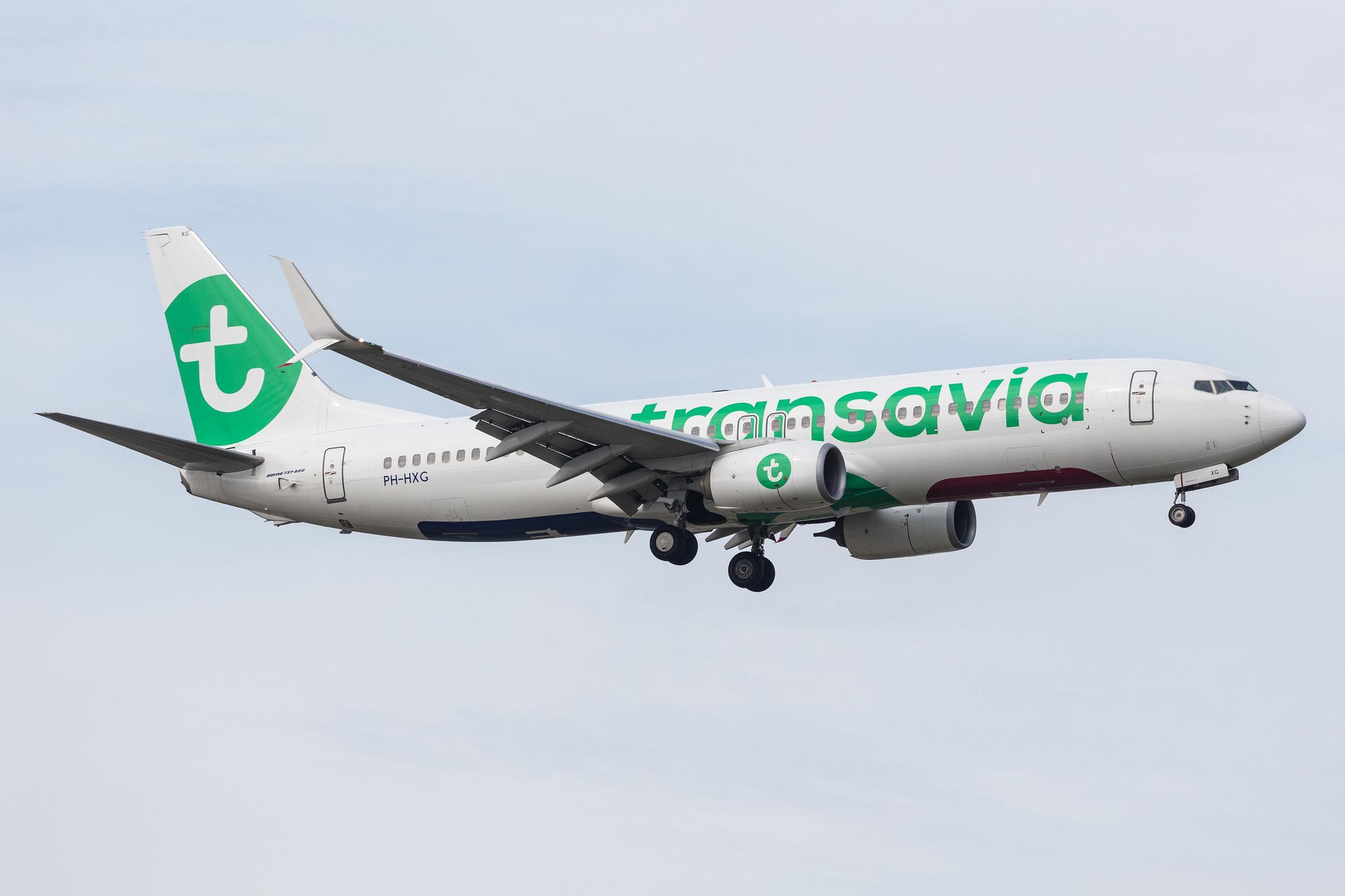 Amsterdam Schiphol: Transavia (HV / TRA) |  Boeing 737-8K2 B738 | PH-HXG | MSN 41355