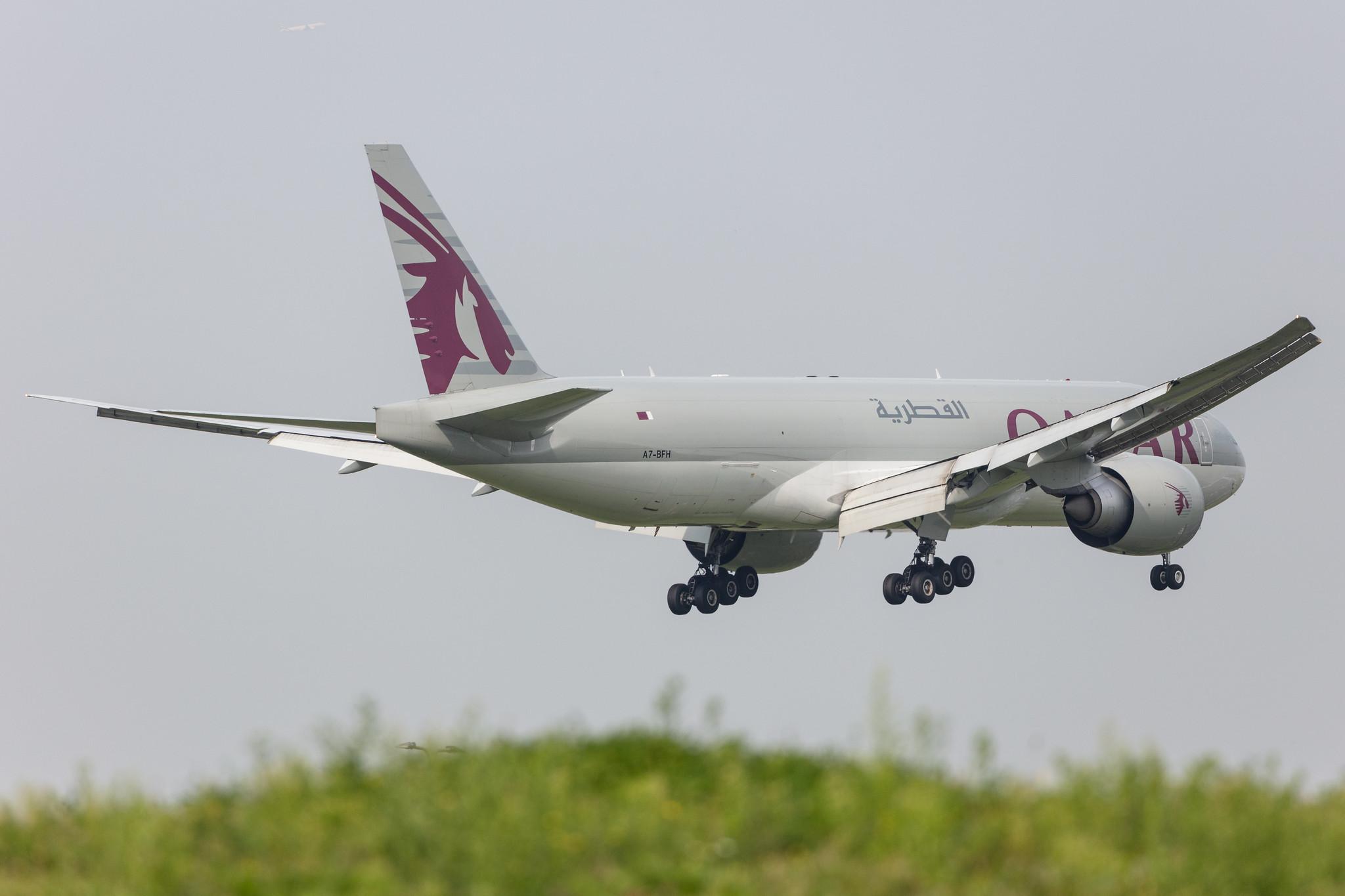 Amsterdam Schiphol: Qatar Cargo (QR / QTR) | Operator: Qatar Airways |  Boeing 777-FDZ B77L | A7-BFH | MSN 42298