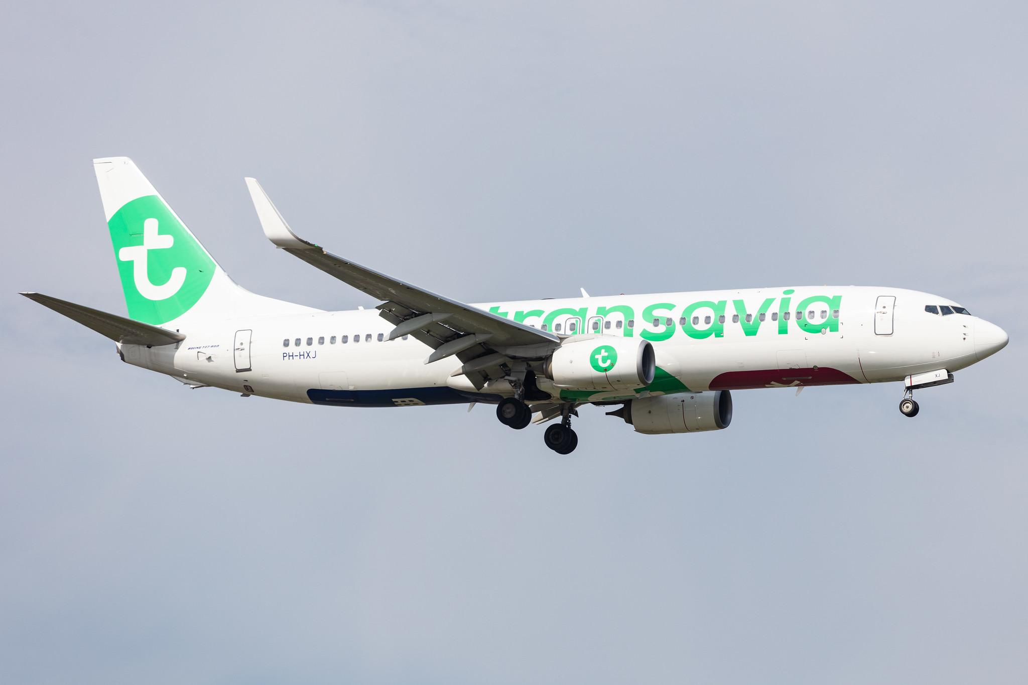 Amsterdam Schiphol: Transavia (HV / TRA) |  Boeing 737-8K2 B738 | PH-HXJ | MSN 62159
