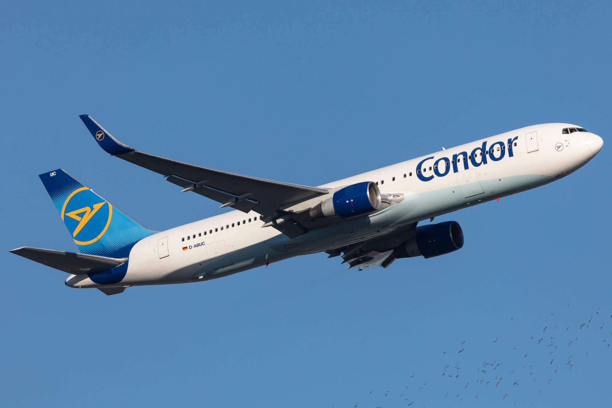 Frankfurt Airport: Condor (DE / CFG) |  Boeing 767-330(ER) B763 | D-ABUC | MSN 26992