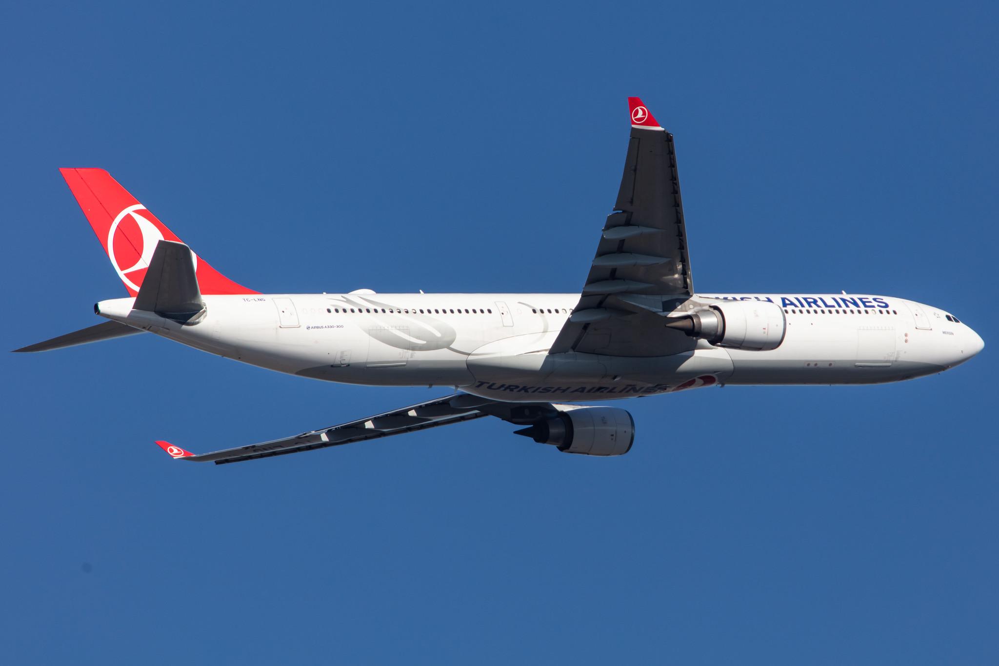 Frankfurt Airport: Turkish Airlines (TK / THY) |  Airbus A330-303 A333 | TC-LNG | MSN 1718