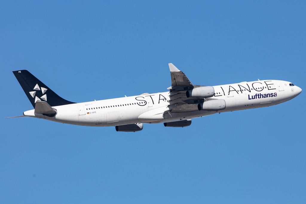 Frankfurt Airport: Lufthansa (LH / DLH) |  Livery: Star Alliance Livery |  Airbus A340-313 A343 | D-AIFE | MSN 0434
