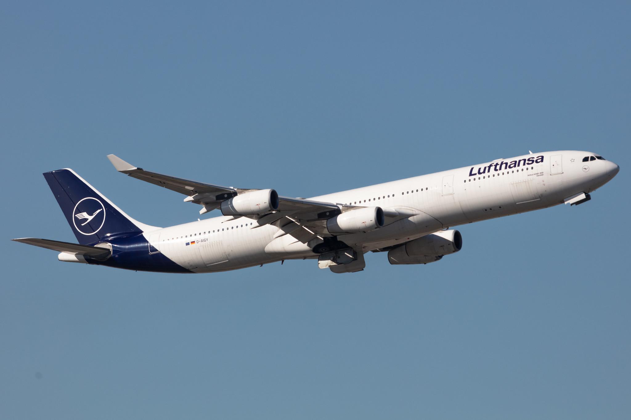 Frankfurt Airport: Lufthansa (LH / DLH) |  Airbus A340-313 A343 | D-AIGY | MSN 0335