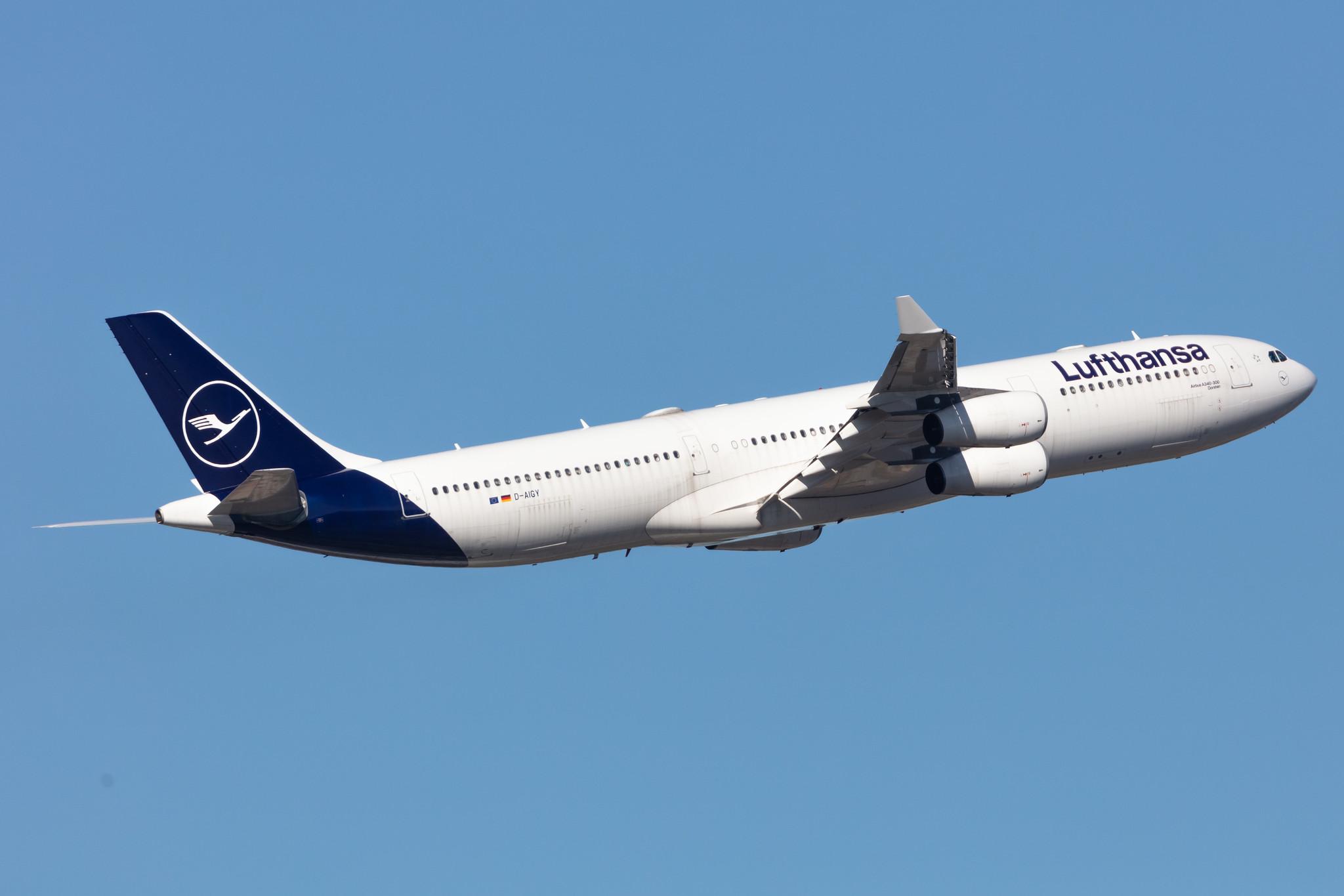 Frankfurt Airport: Lufthansa (LH / DLH) |  Airbus A340-313 A343 | D-AIGY | MSN 0335