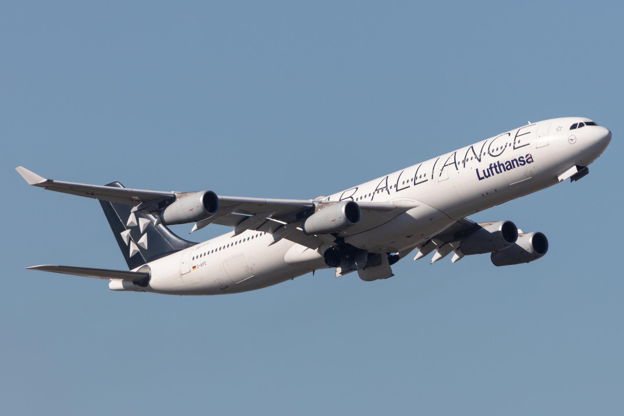 Frankfurt Airport: Lufthansa (LH / DLH) |  Livery: Star Alliance Livery |  Airbus A340-313 A343 | D-AIFE | MSN 0434