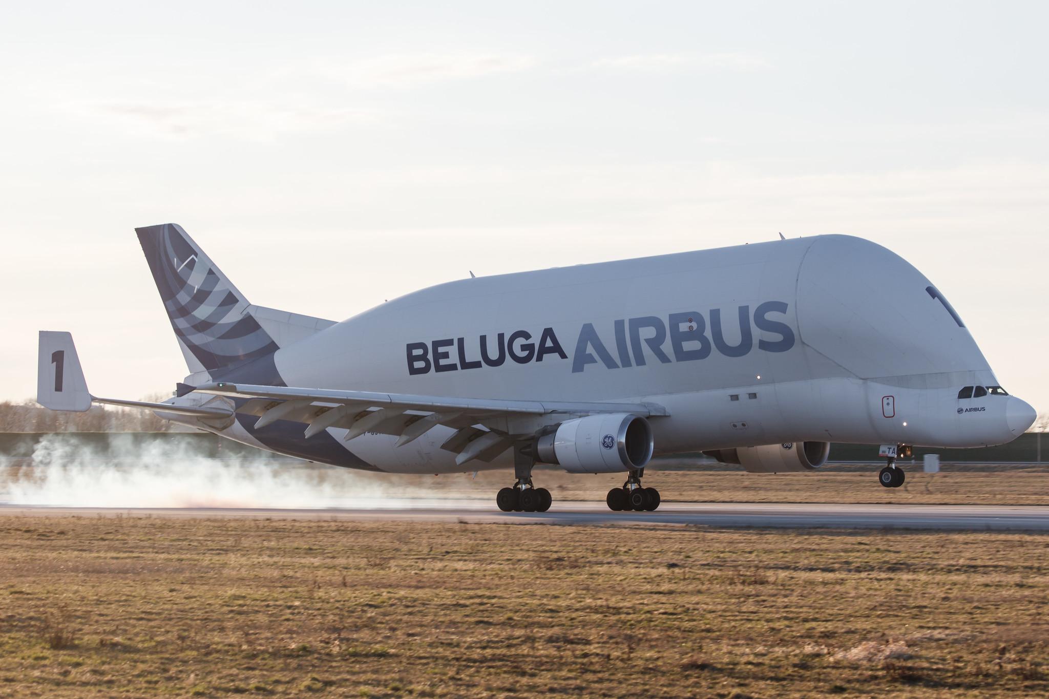 Hamburg Finkenwerder: Airbus Transport International (4Y / BGA) |  Airbus A300-608ST Beluga A3ST | F-GSTA | MSN 655