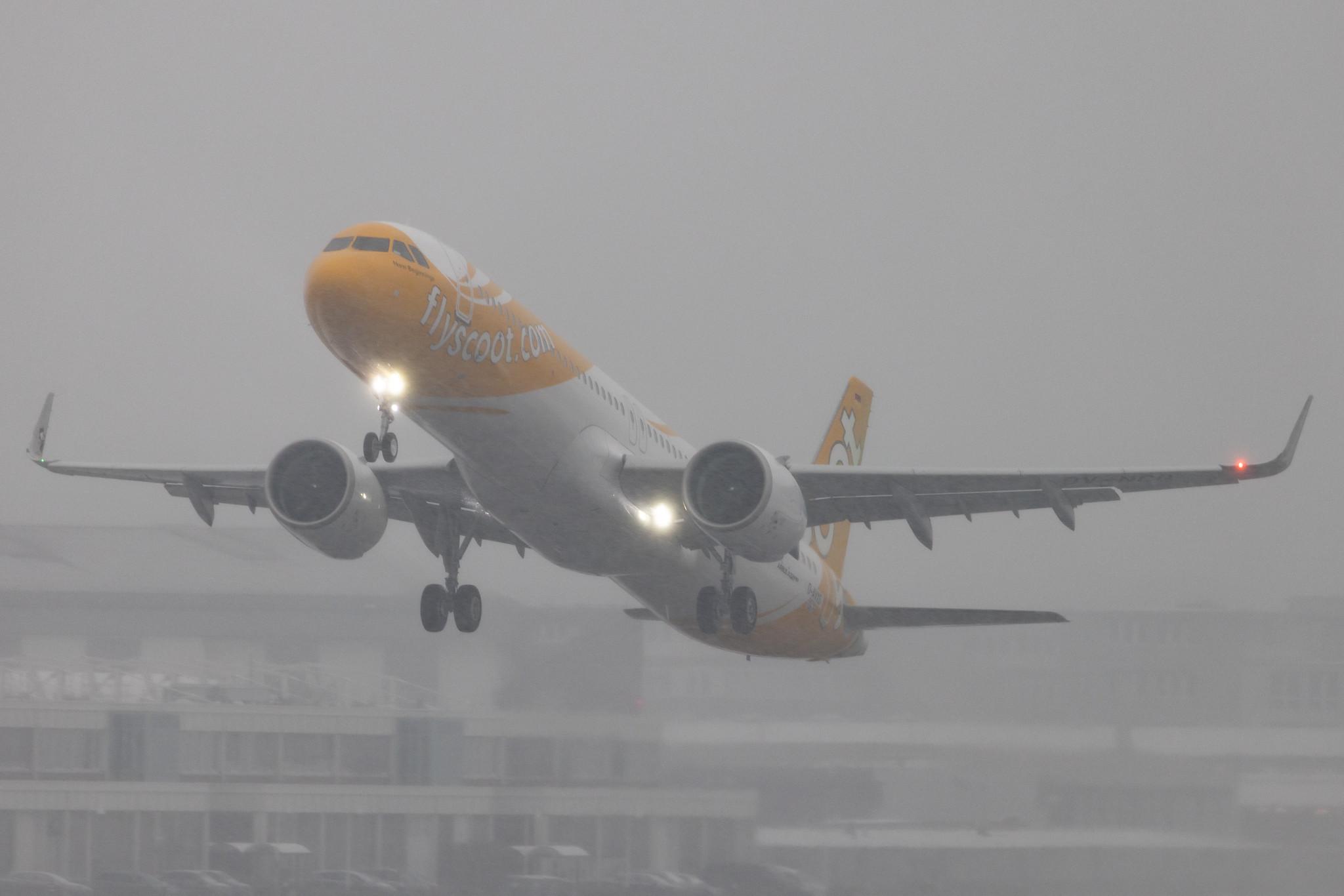 Hamburg Finkenwerder: Scoot (TR / TGW) | Airbus A321-271NX A21N | D-AVXS (9V-NCG) | MSN 10675