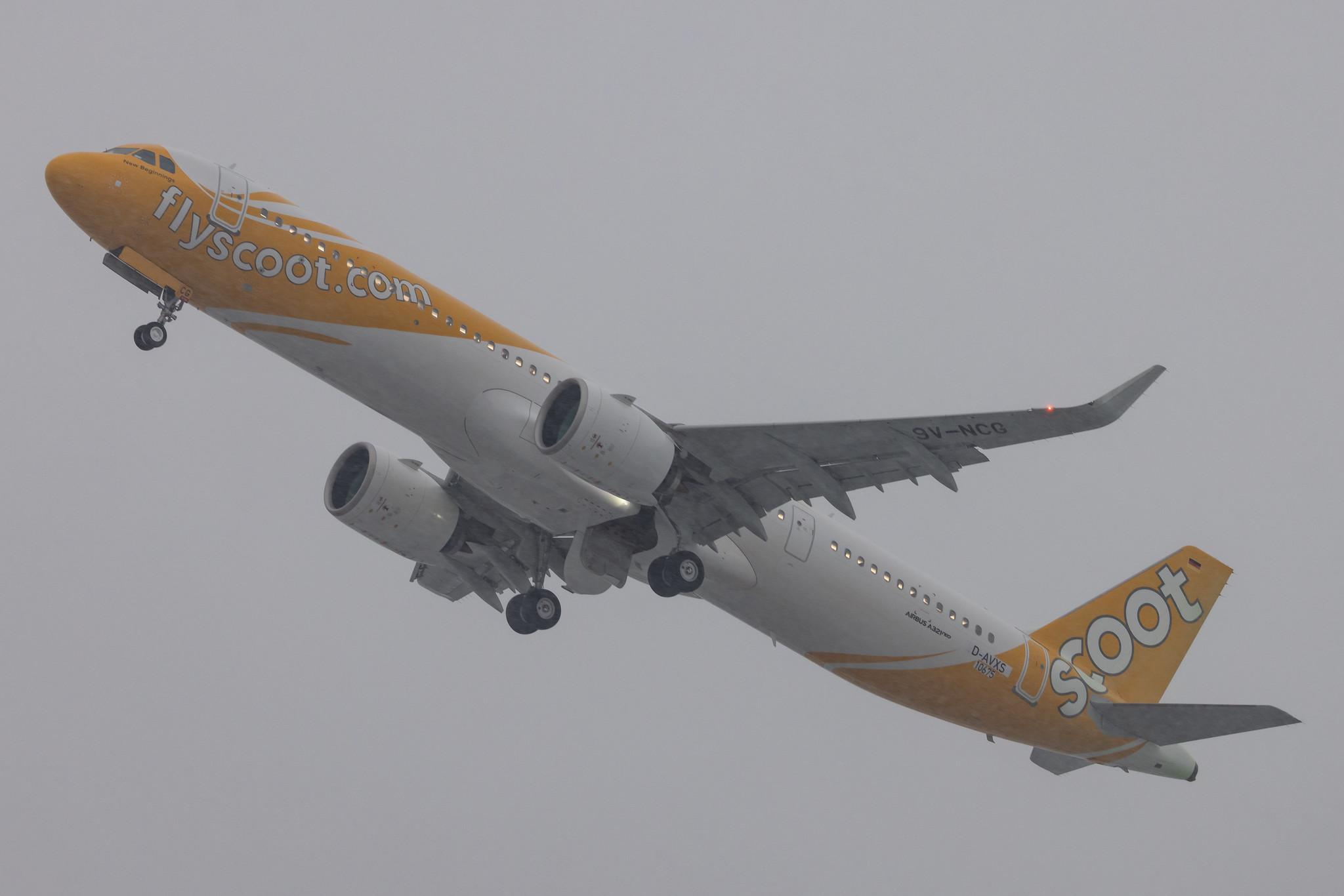 Hamburg Finkenwerder: Scoot (TR / TGW) | Airbus A321-271NX A21N | D-AVXS (9V-NCG) | MSN 10675