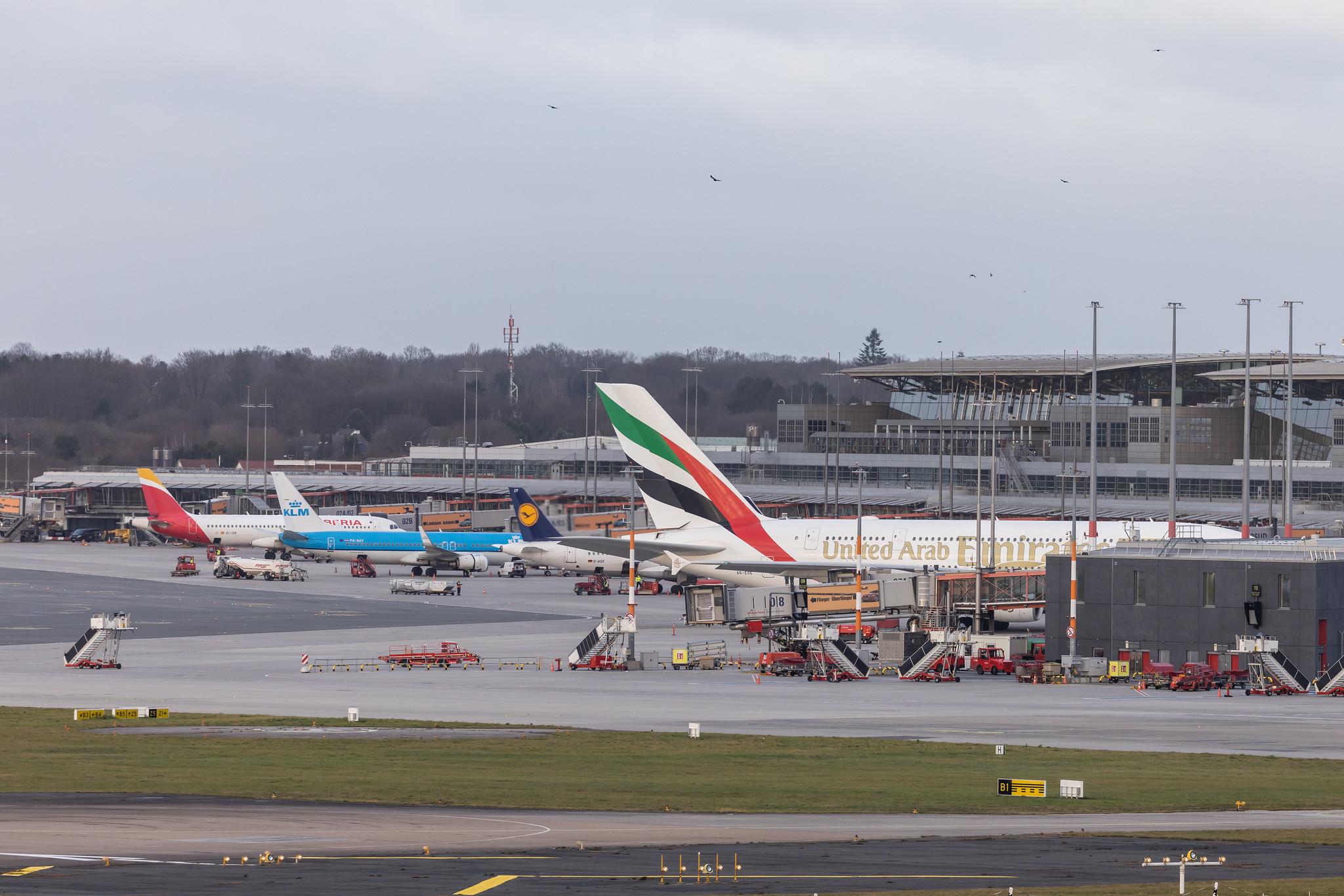 Hamburg Airport: Emirates (EK / UAE) |  Livery: Year of the Fiftieth Livery |  Airbus A380-861 A388 | A6-EOE | MSN 169