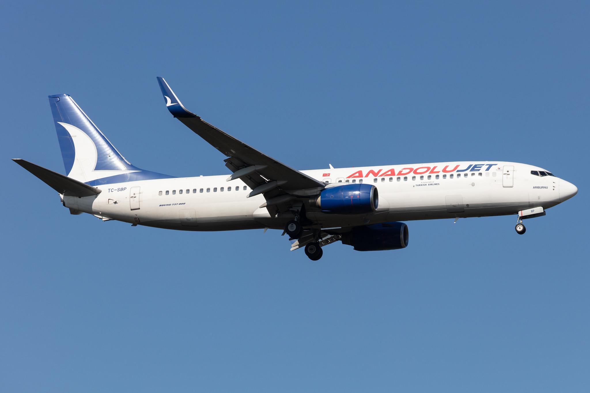 Frankfurt Airport: AnadoluJet (TK / THY) | Operator: SunExpress |  Boeing 737-86N B738 | TC-SBP | MSN 32672