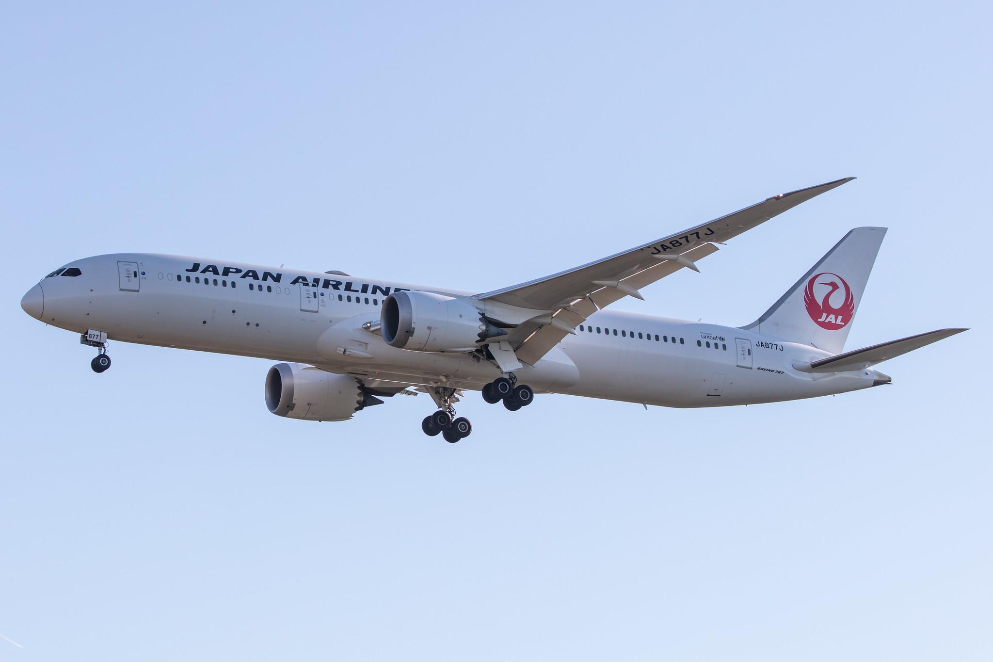 Frankfurt Airport: Japan Airlines (JL / JAL) |  Boeing 787-9 Dreamliner B789 | JA877J | MSN 35431