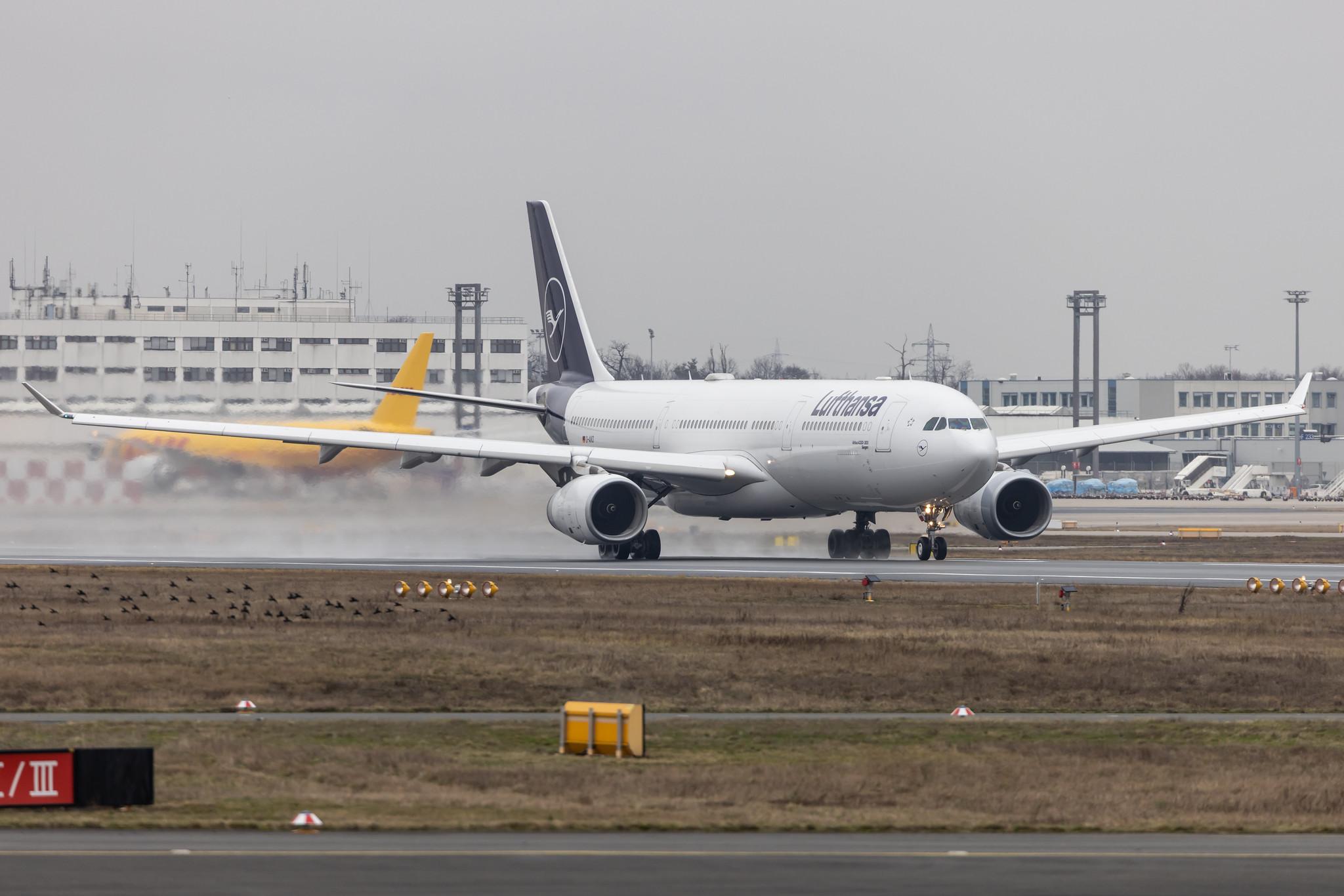 Frankfurt Airport: Lufthansa (LH / DLH) |  Airbus A330-343 A333 | D-AIKD | MSN 0629