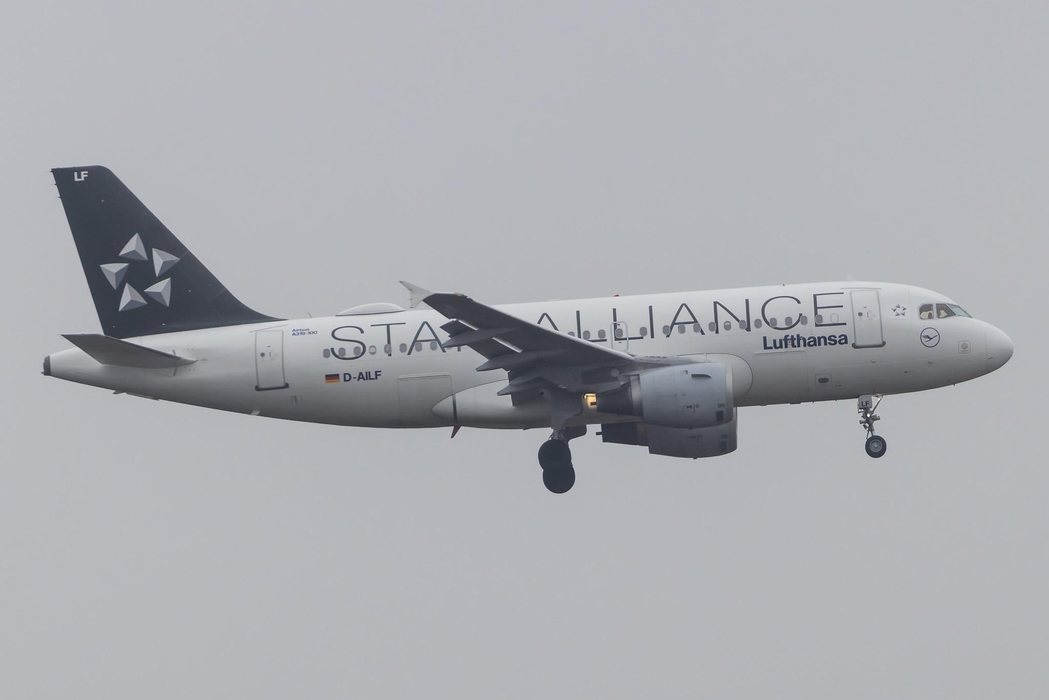 Frankfurt Airport: Lufthansa (LH / DLH) |  Livery: Star Alliance Livery |  Airbus A319-114 A319 | D-AILF | MSN 0636