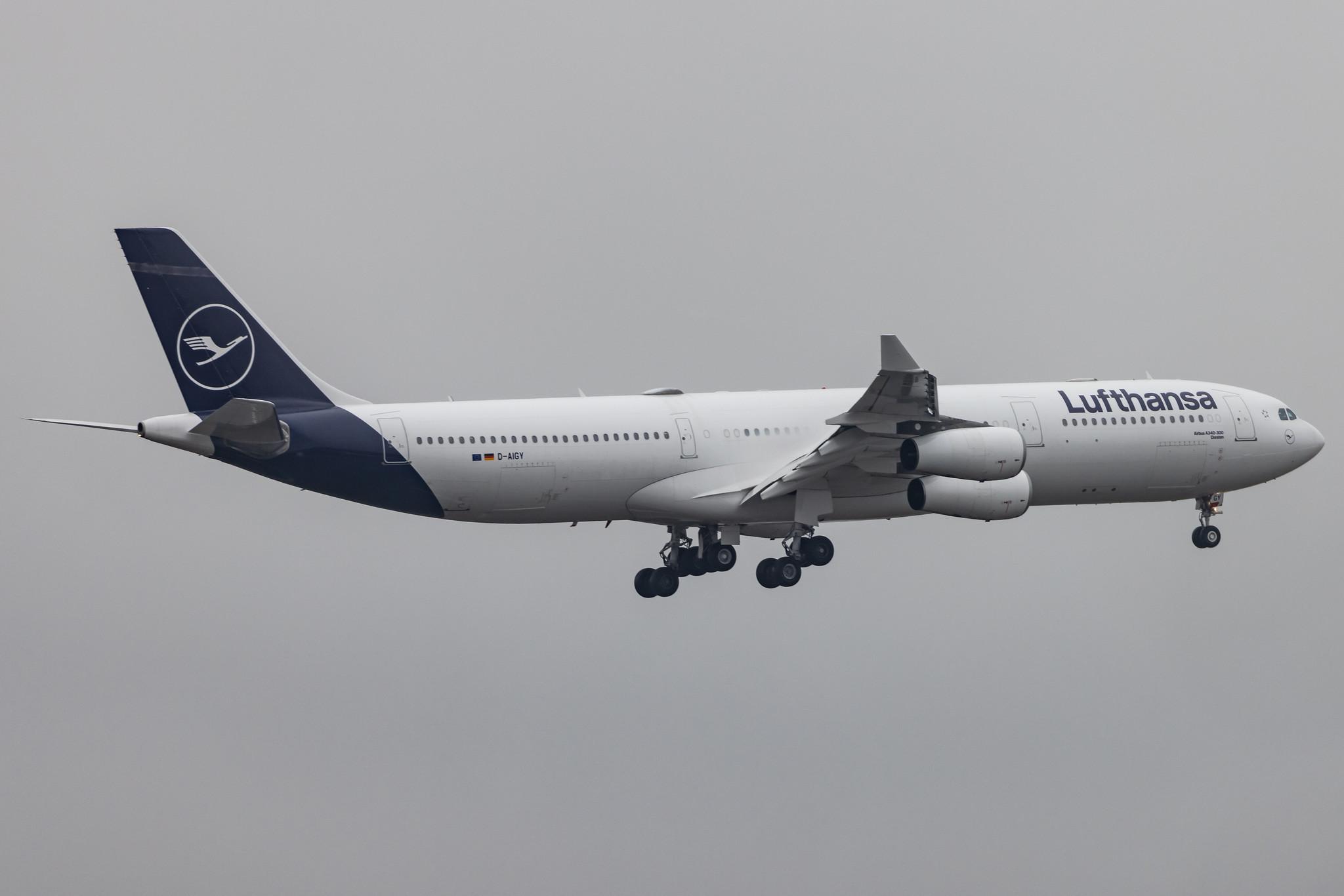 Frankfurt Airport: Lufthansa (LH / DLH) |  Airbus A340-313 A343 | D-AIGY | MSN 0335