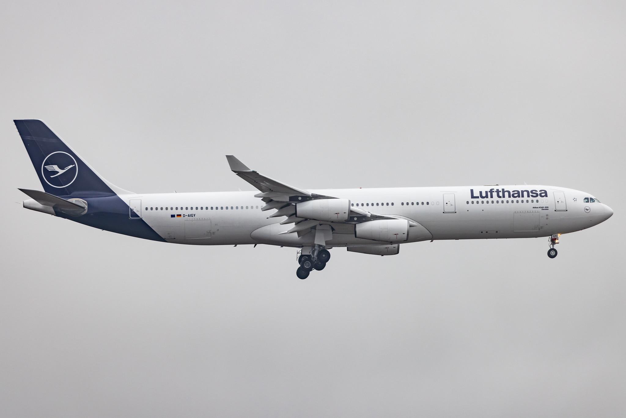 Frankfurt Airport: Lufthansa (LH / DLH) |  Airbus A340-313 A343 | D-AIGY | MSN 0335