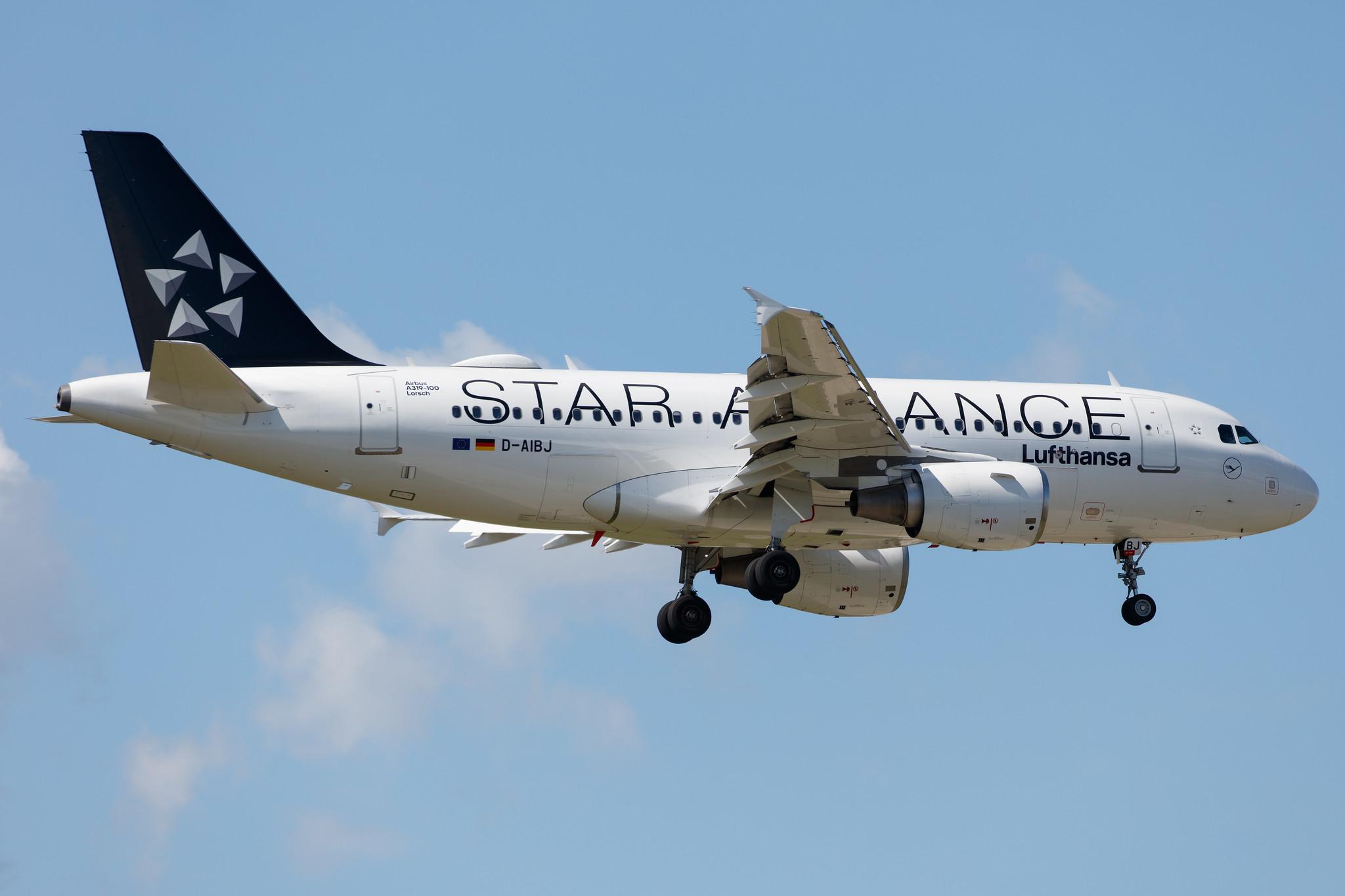 Frankfurt Airport: Lufthansa (LH / DLH) |  Livery: Star Alliance Livery |  Airbus A319-112 A319 | D-AIBJ | MSN 5293