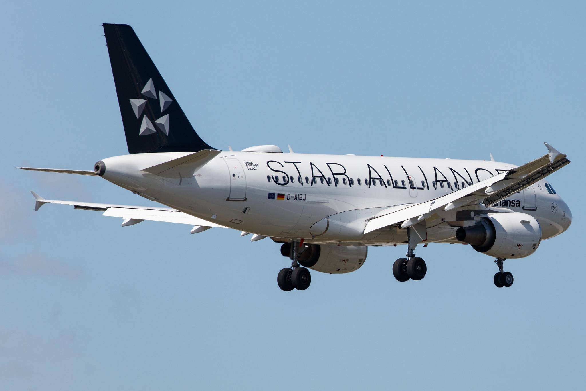 Frankfurt Airport: Lufthansa (LH / DLH) |  Livery: Star Alliance Livery |  Airbus A319-112 A319 | D-AIBJ | MSN 5293