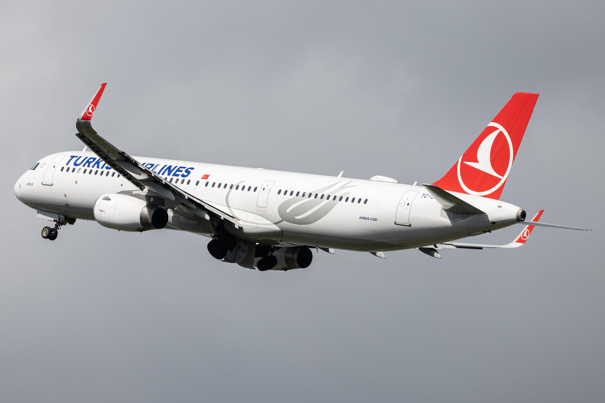 Hamburg Airport: Turkish Airlines (TK / THY) |  Airbus A321-231 A321 | TC-JTK | MSN 7146