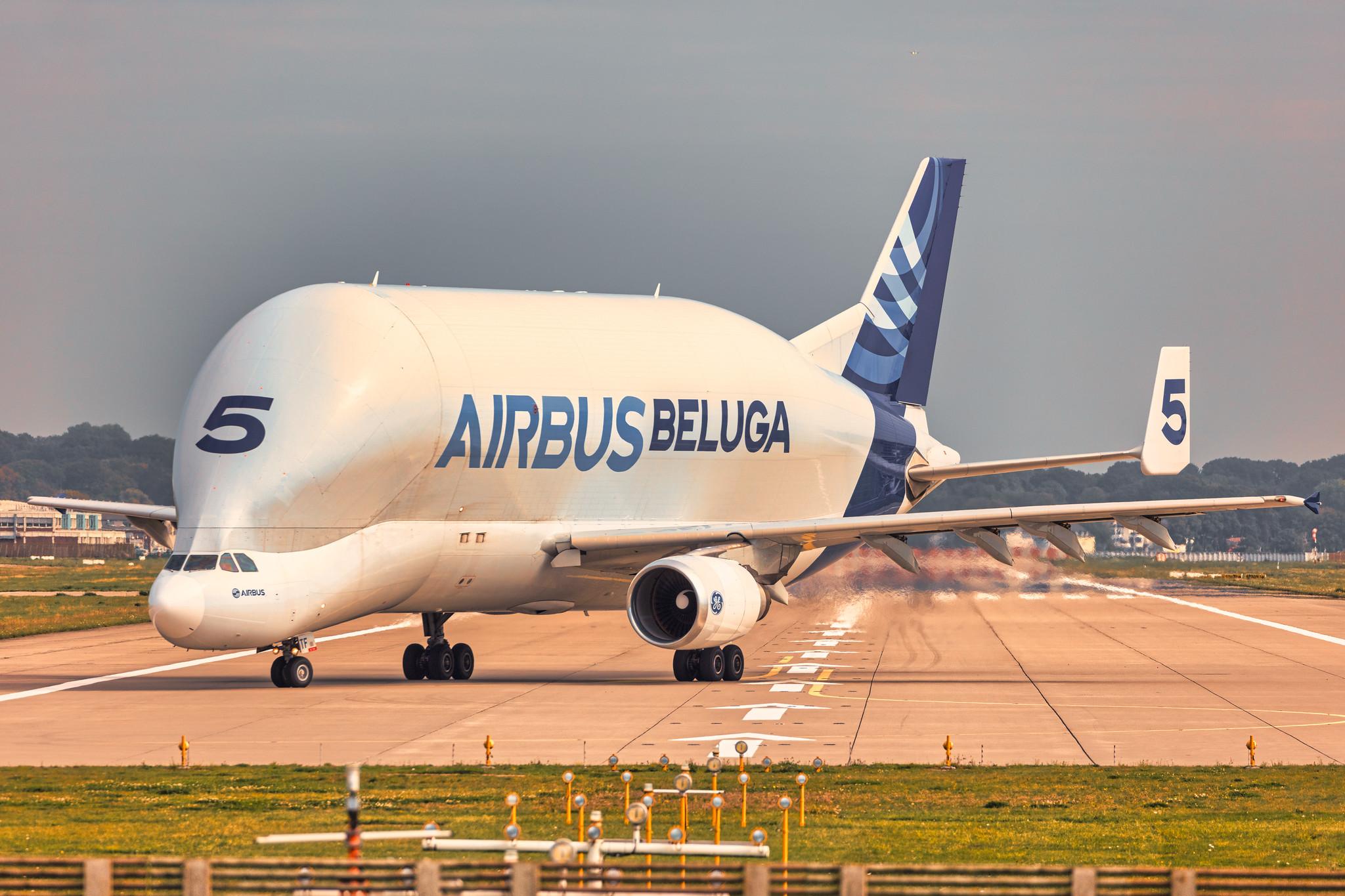 Hamburg Finkenwerder: Airbus Transport International (4Y / BGA) |  Airbus A300-608ST Beluga A3ST | F-GSTF | MSN 796
