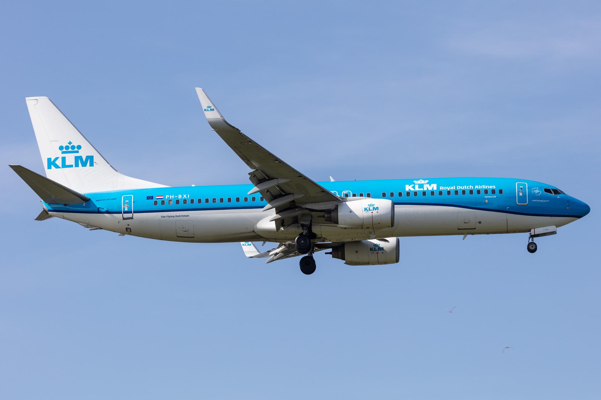 Amsterdam Schiphol: KLM (KL / KLM) |  Boeing 737-8K2 B738 | PH-BXI | MSN 30358