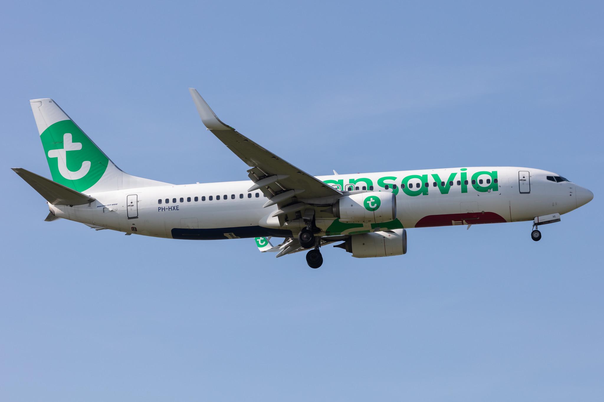 Amsterdam Schiphol: Transavia (HV / TRA) |  Boeing 737-8K2 B738 | PH-HXE | MSN 61790