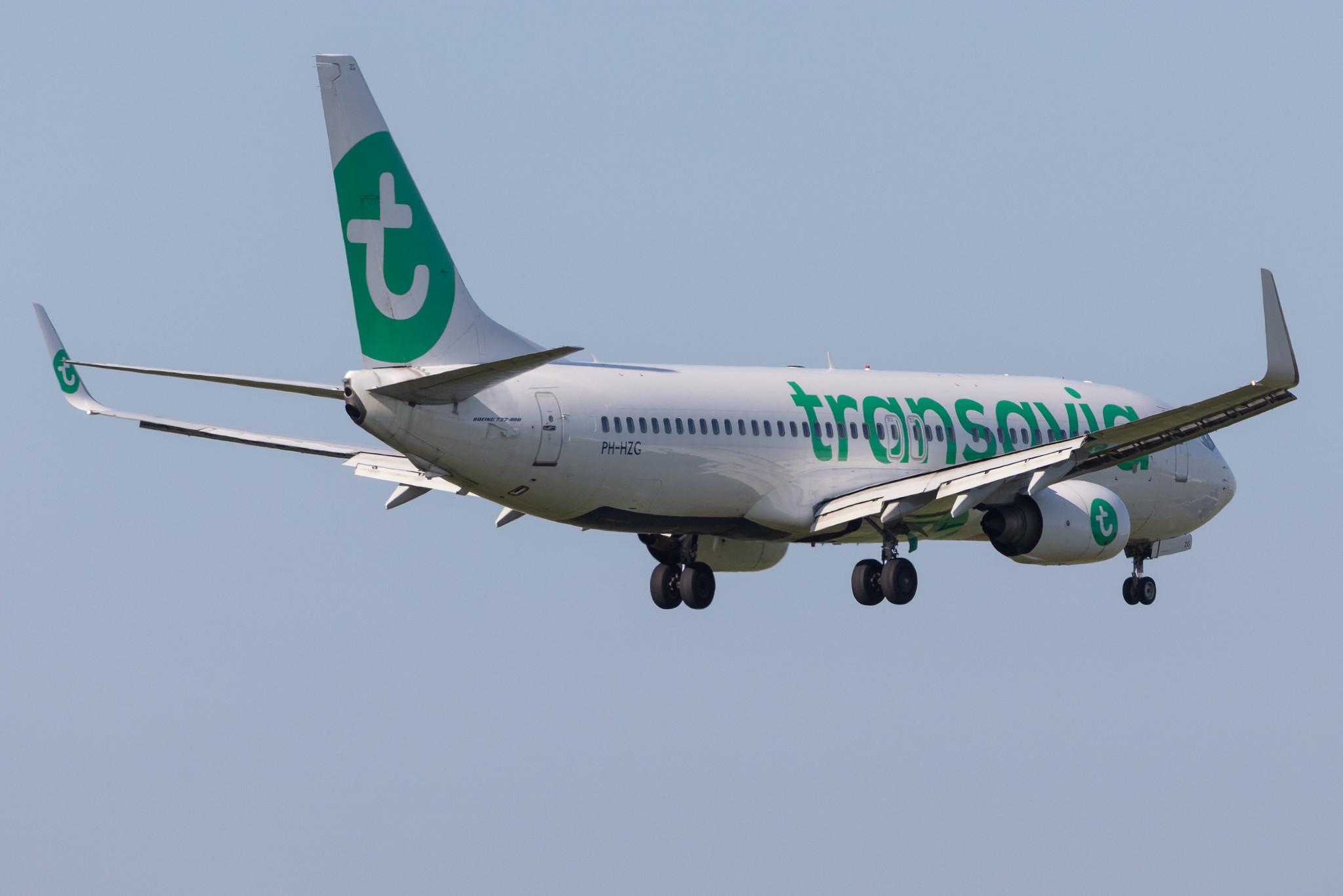 Amsterdam Schiphol: Transavia (HV / TRA) |  Boeing 737-8K2 B738 | PH-HZG | MSN 28379