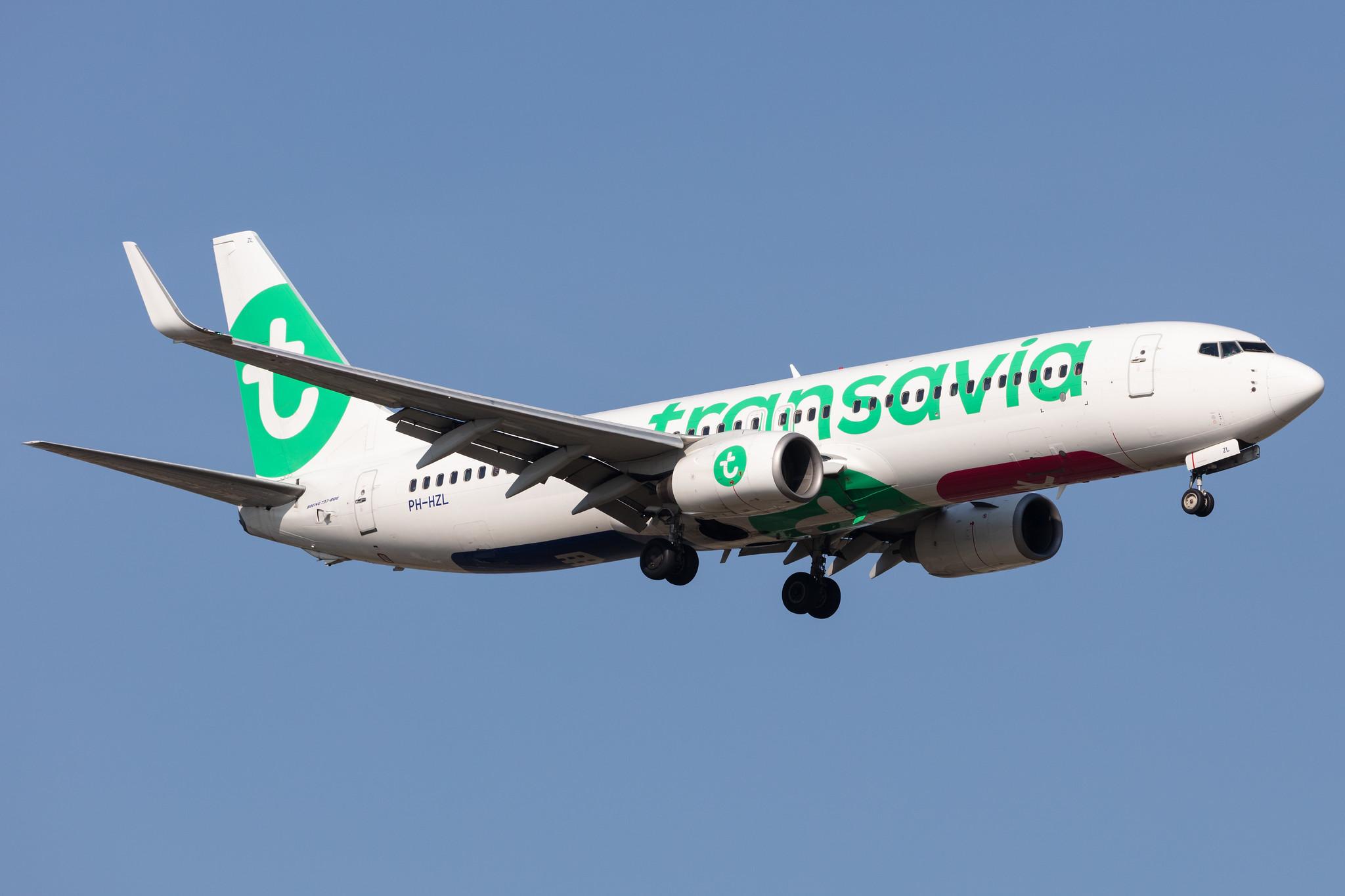 Amsterdam Schiphol: Transavia (HV / TRA) |  Boeing 737-8K2 B738 | PH-HZL | MSN 30391