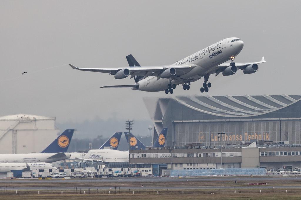 Frankfurt Airport: Lufthansa (LH / DLH) |  Livery: Star Alliance Livery |  Airbus A340-313 A343 | D-AIFE | MSN 0434