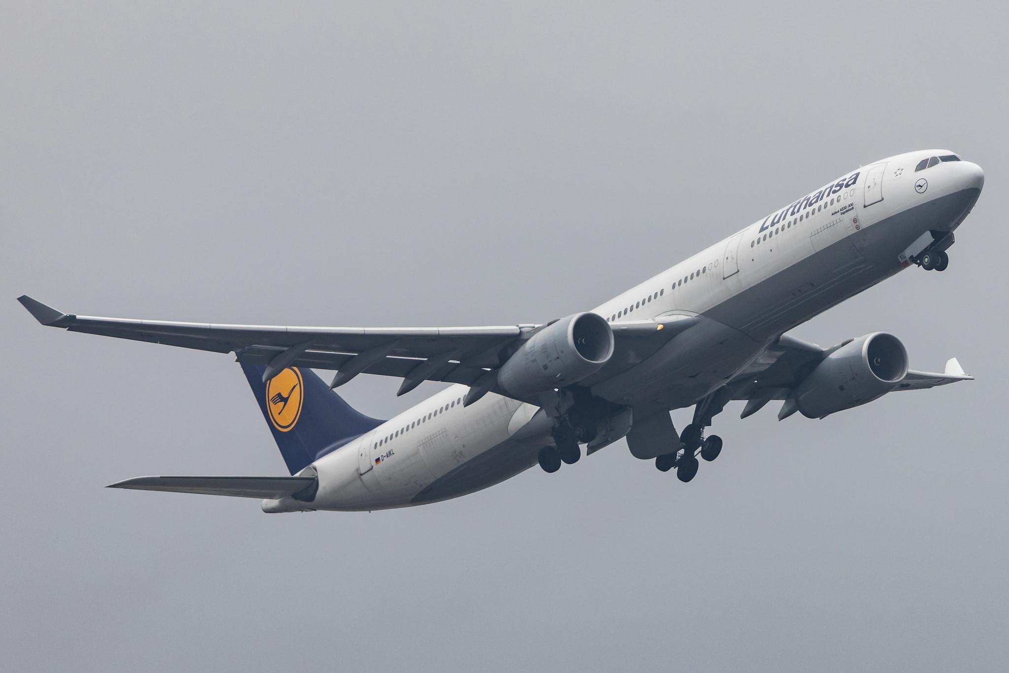 Frankfurt Airport: Lufthansa (LH / DLH) |  Airbus A330-343 A333 | D-AIKL | MSN 0905