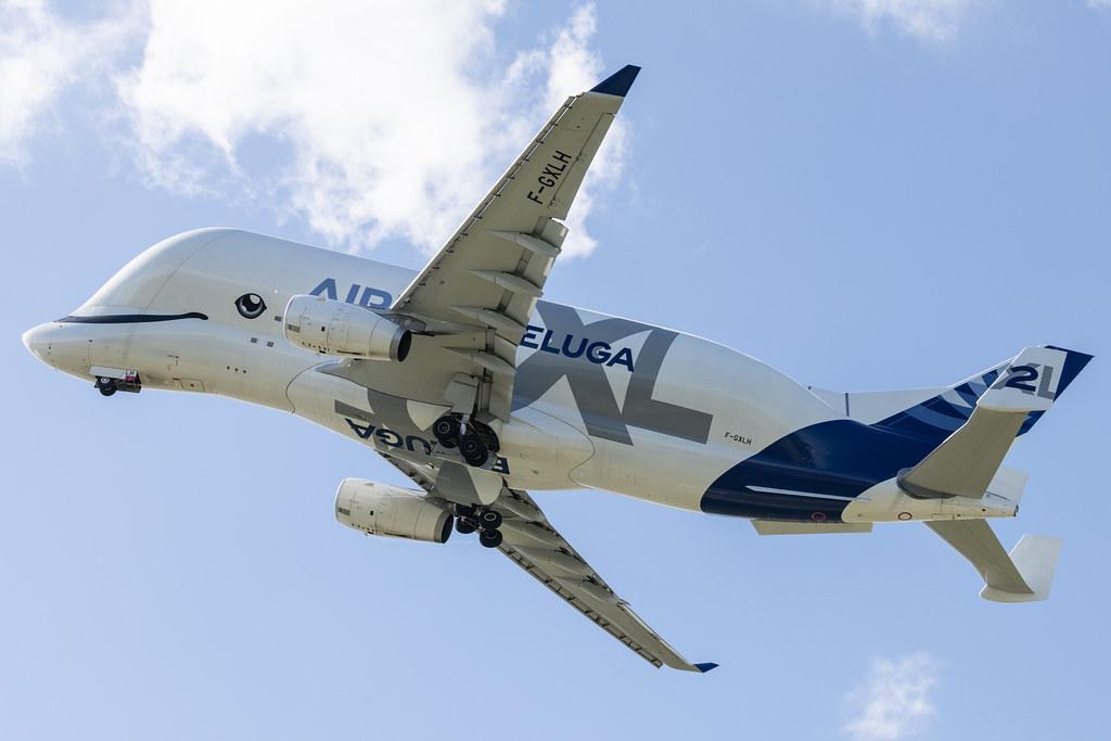 Hamburg Finkenwerder: Airbus Transport International (4Y / BGA) | Airbus A330-743L Beluga XL A337 | F-GXLH | MSN 1853