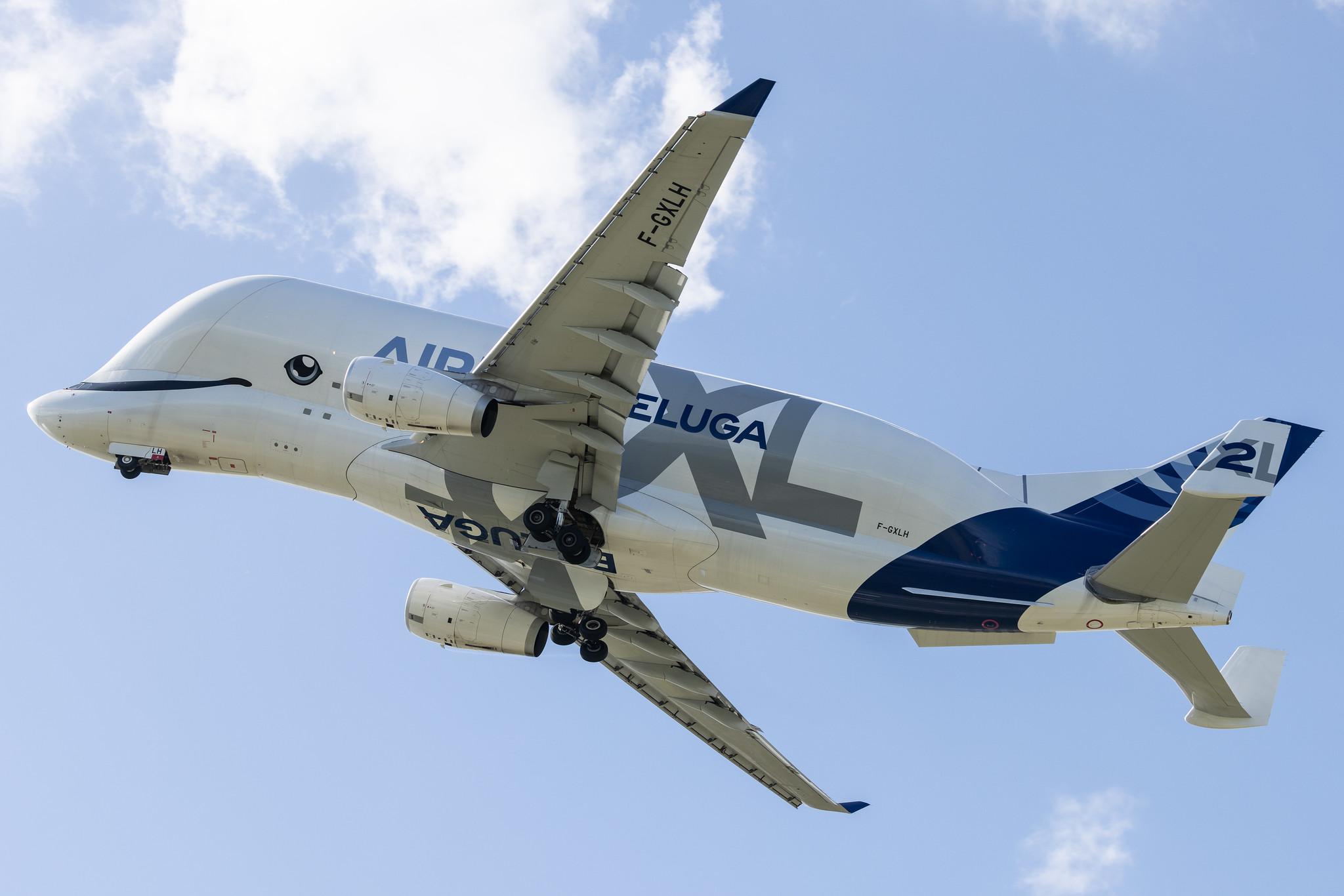 Hamburg Finkenwerder: Airbus Transport International (4Y / BGA) | Airbus A330-743L Beluga XL A337 | F-GXLH | MSN 1853