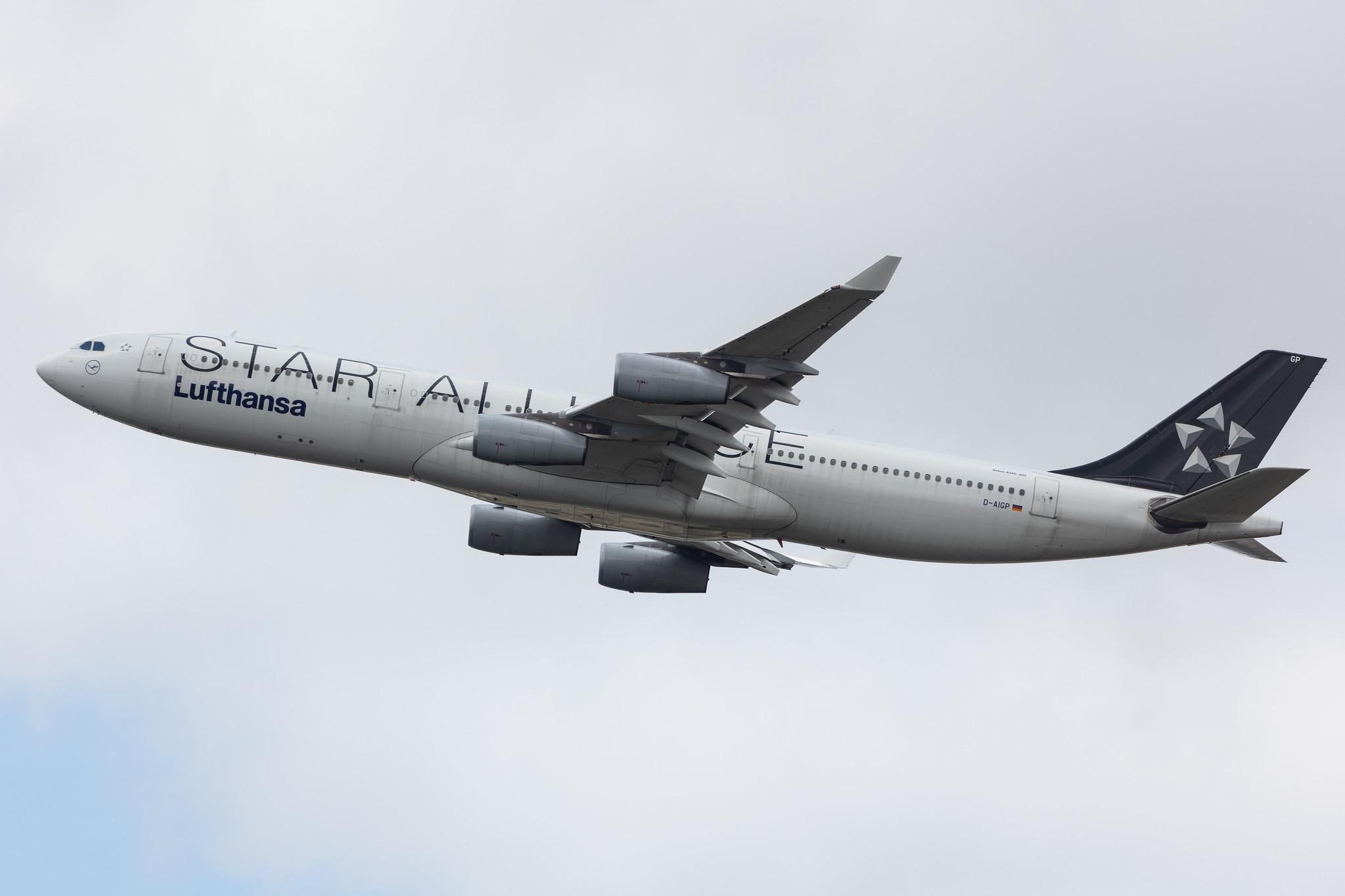 Frankfurt Airport: Lufthansa (LH / DLH) |  Livery: Star Alliance Livery |  Airbus A340-313 A343 | D-AIGP | MSN 0252